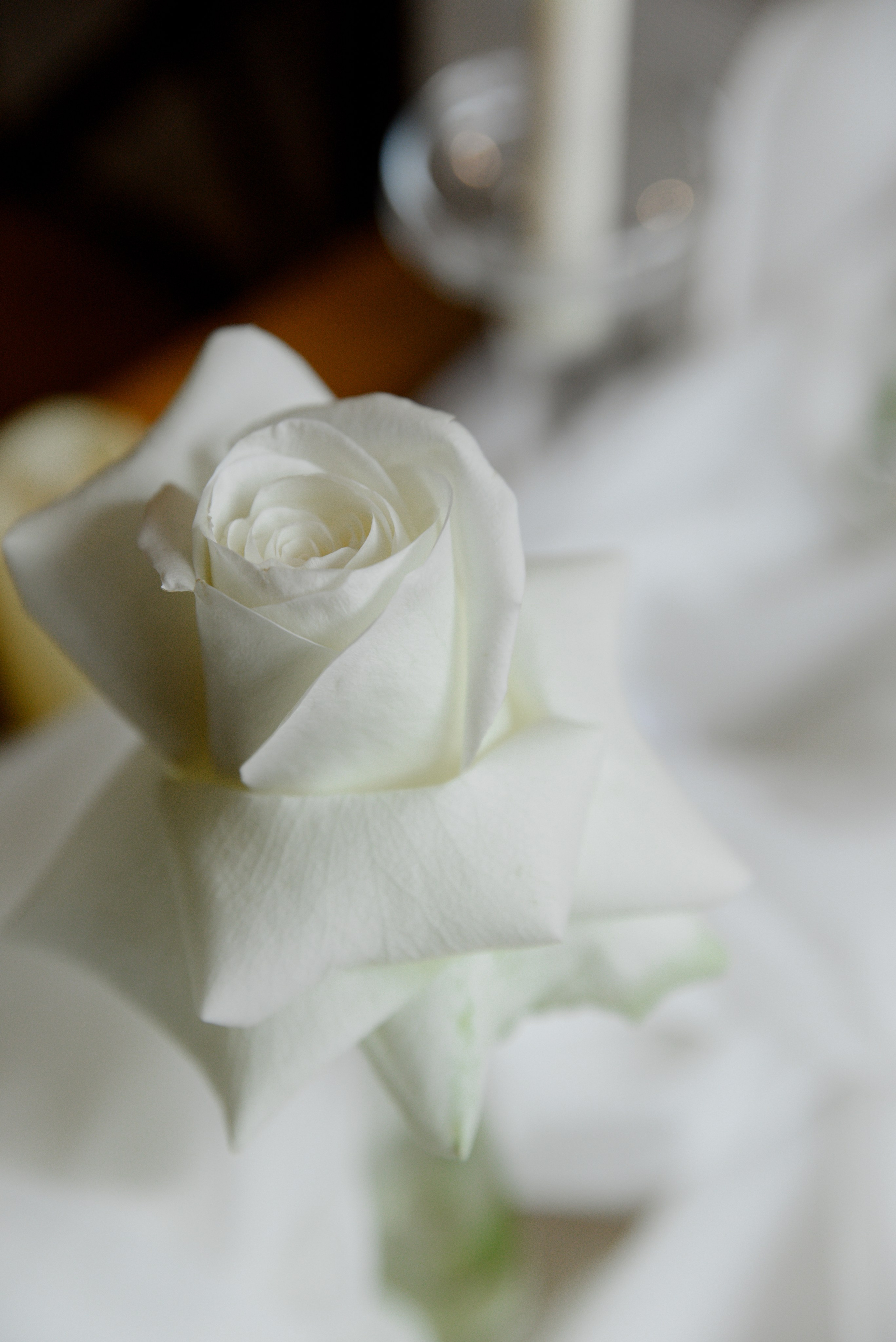 Владимир & Ситора. Фотограф Алина Синицина