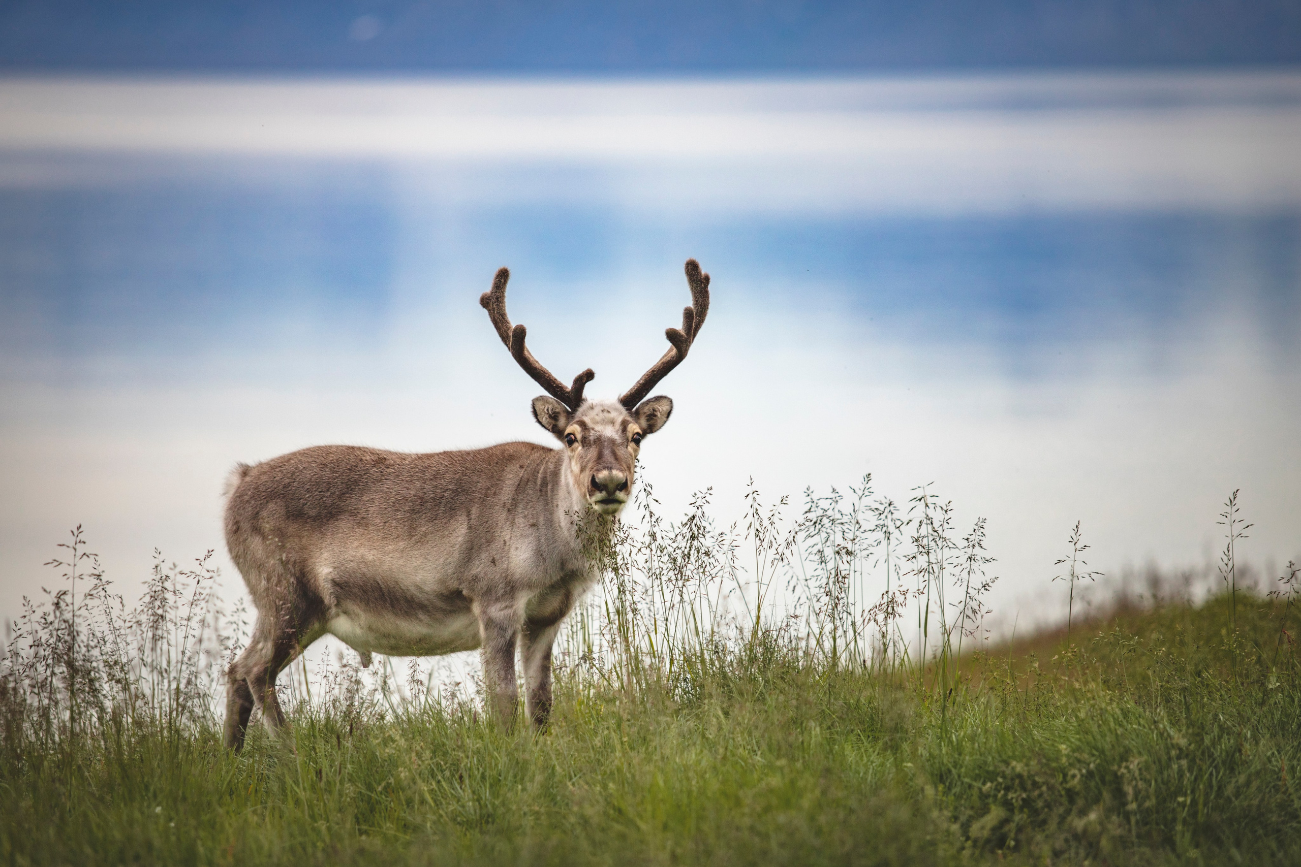 Фотограф Москва, Сергиев Посад