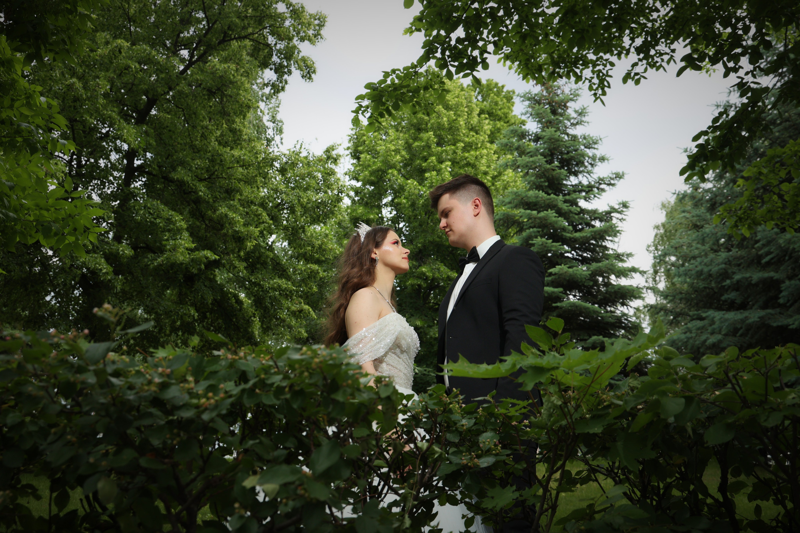 красивый кадр жениха и невесты в зелени