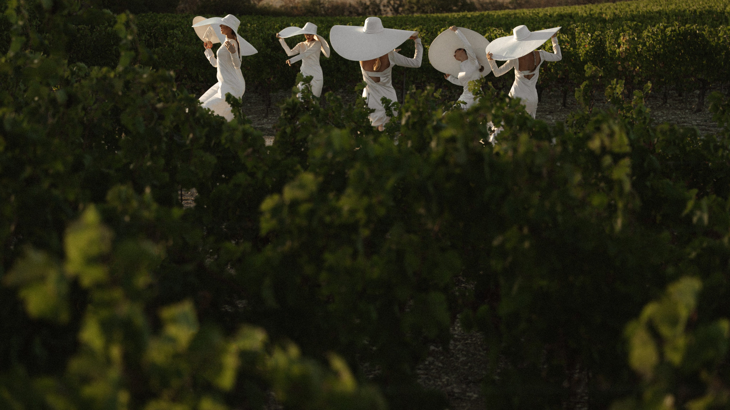 Будет немного ветрено. Геленджик. 2024. Никита Погосов