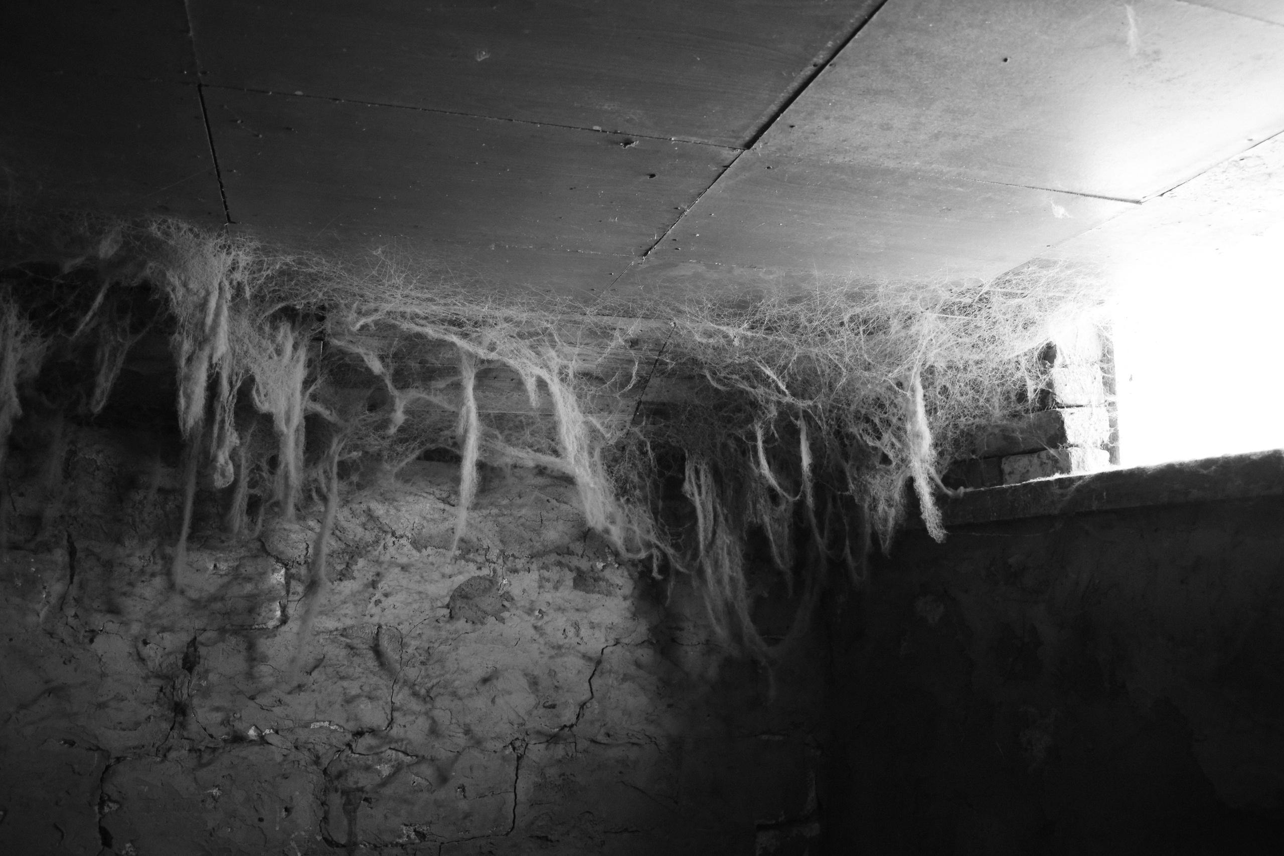 Victoria Ovchinnikova