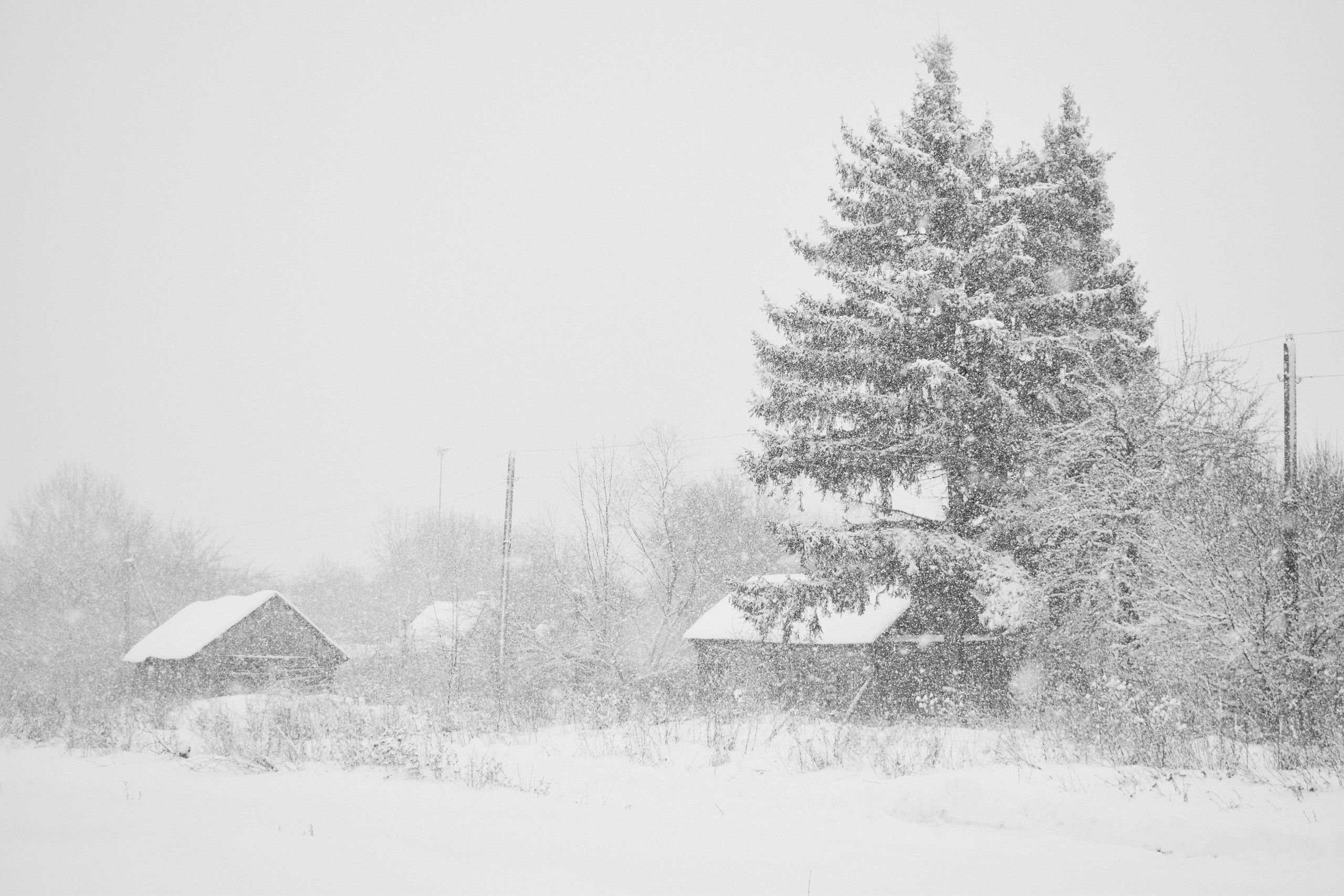 Victoria Ovchinnikova