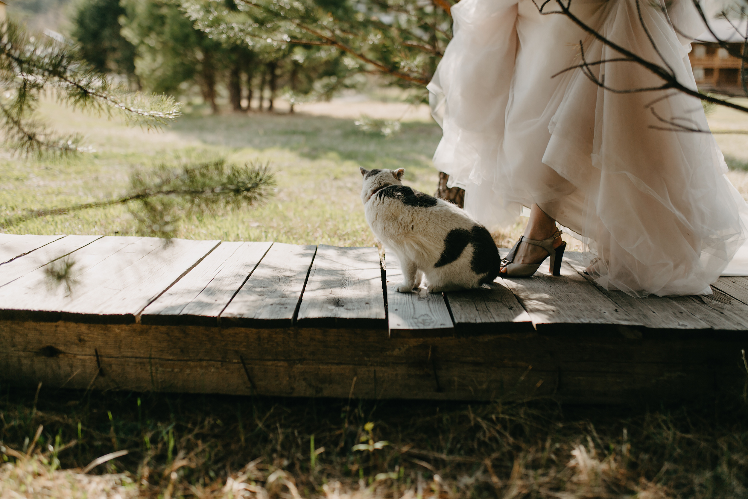 Роман /// Виктория