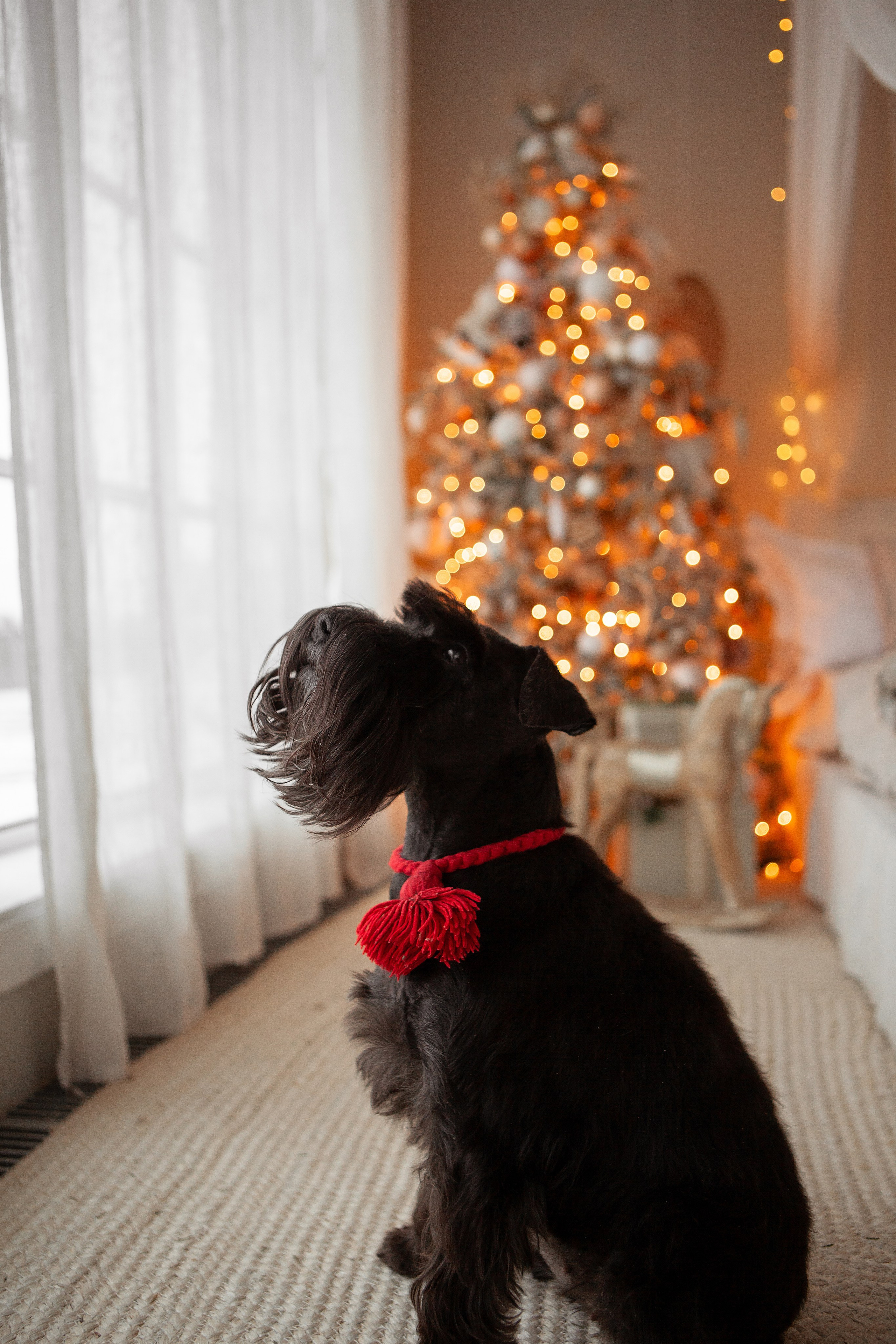 Софа. Свадебный фотограф в СПБ | Санкт-Петербурге Анастасия Рахимгулова