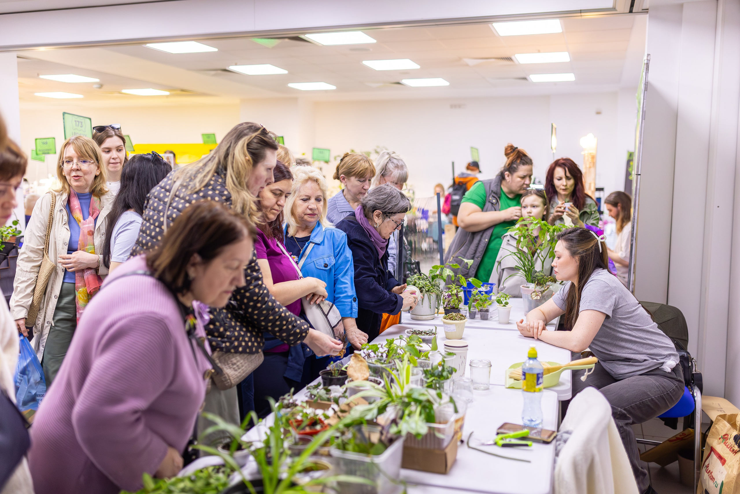 Орхидиум май 2025. Александра Куликова фотограф, Москва