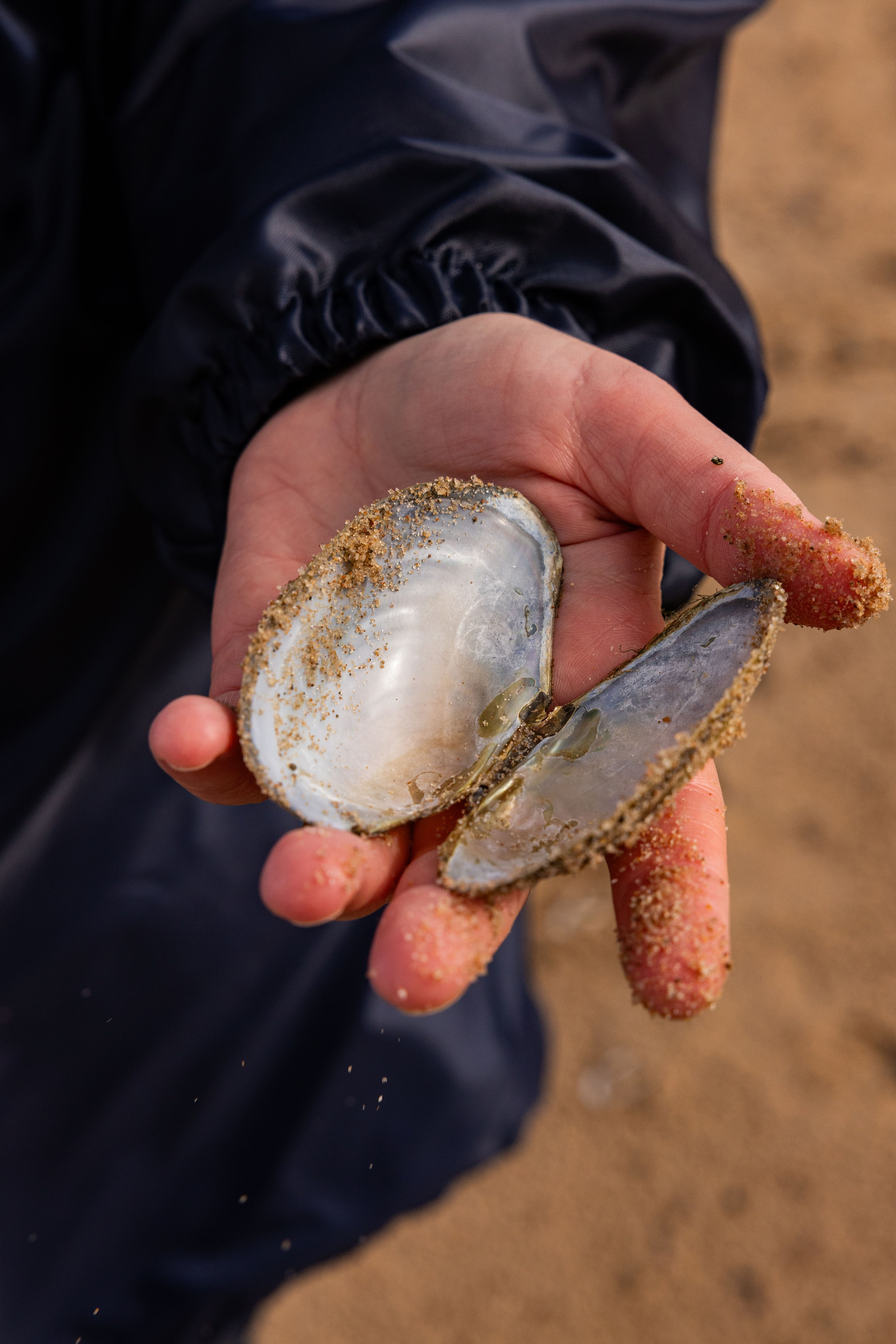 Зеленый пластик. Западный Котлин. Фотограф/видеограф в Санкт-Петербурге Динара Гольдина