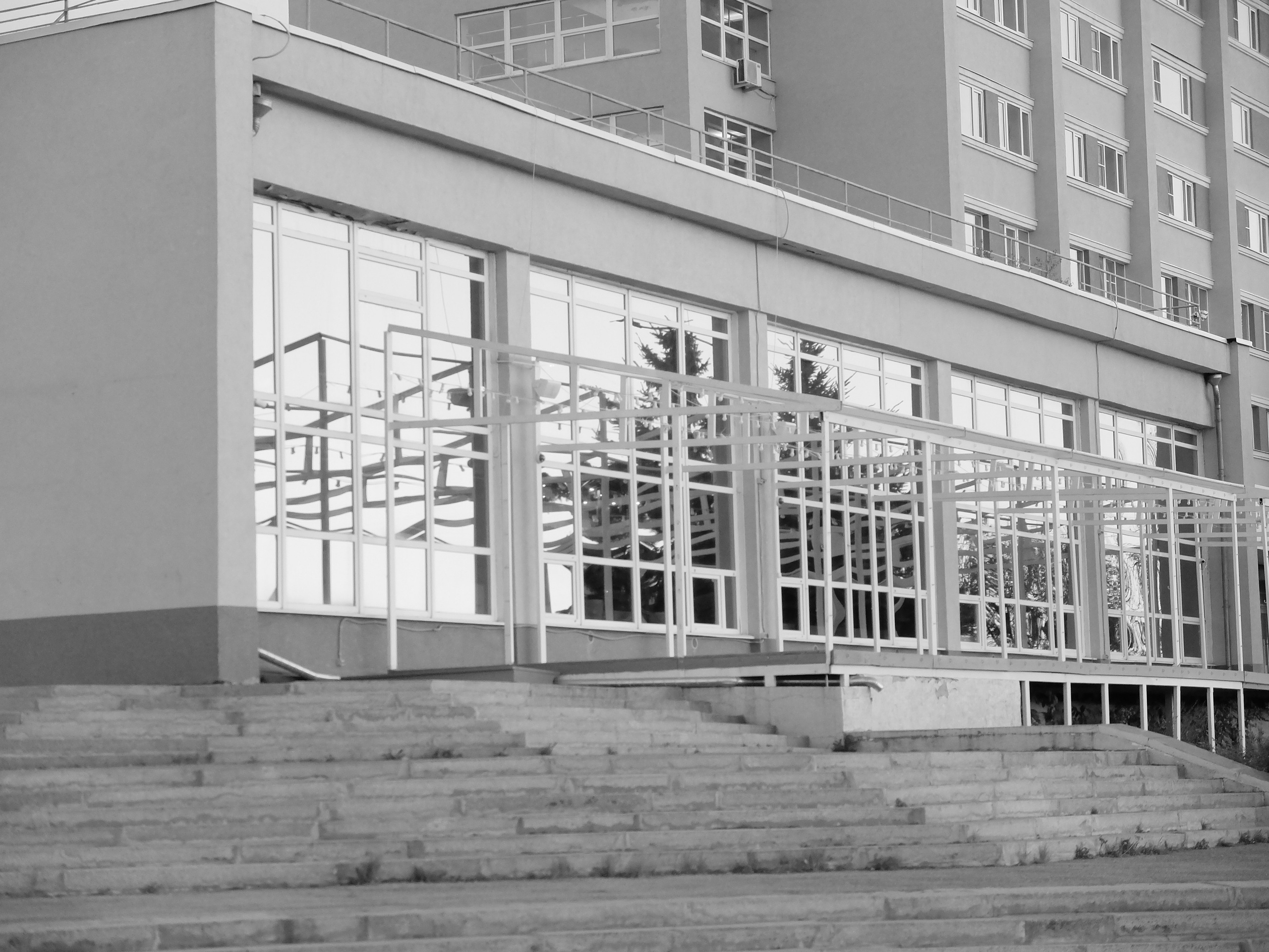 Нижний Новгород. Фотографъ Сергѣевъ. Поймать мгновеніе