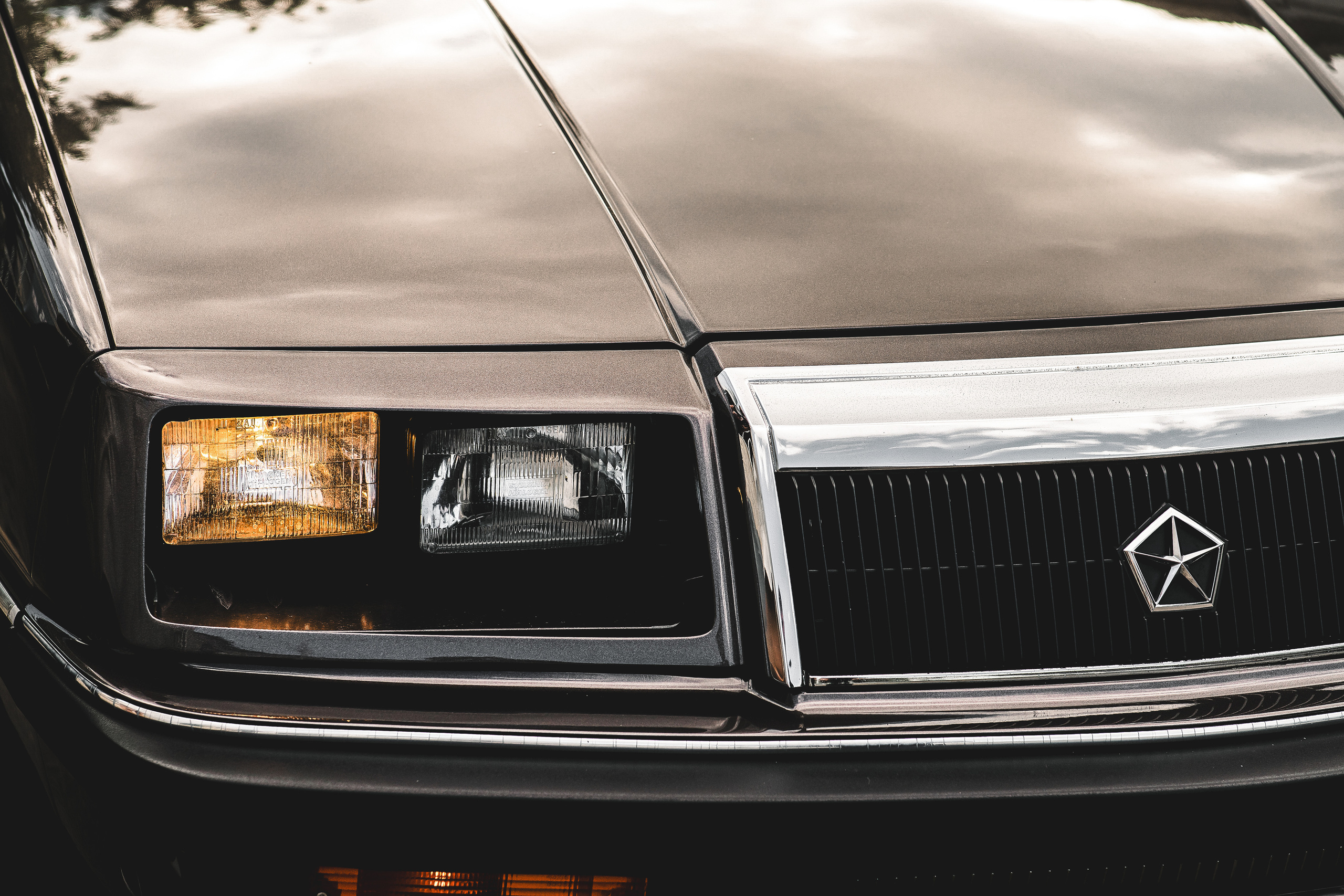 Ярослава и Александр. Свадебный фотограф Ростов-на-Дону Виолетта veslers.ph