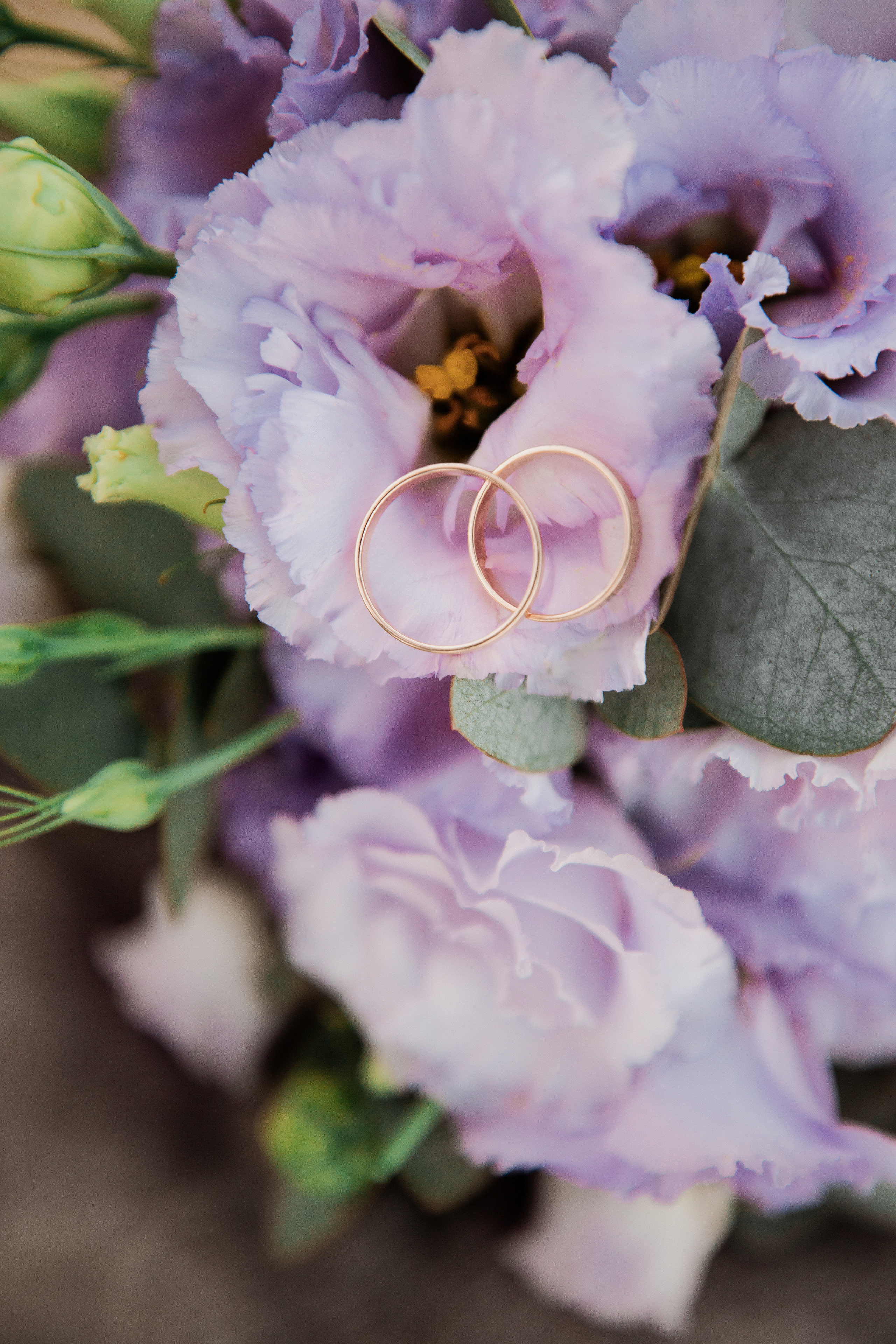 Дмитрий и Алина. Свадебный фотограф Ростов-на-Дону Виолетта veslers.ph