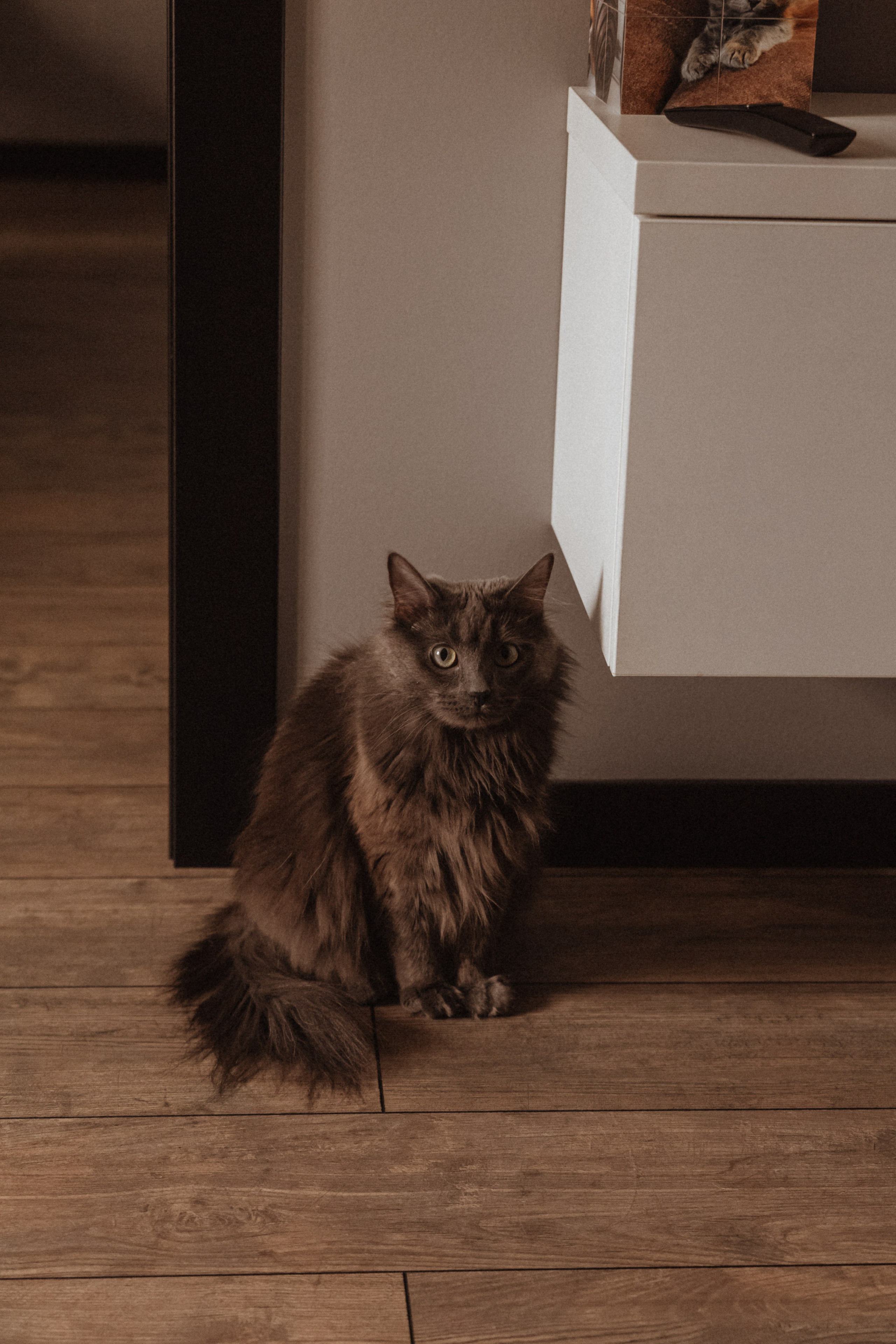 NEWBORN. Портретный и Семейный фотограф в Санкт-Петербурге Rocket Alice