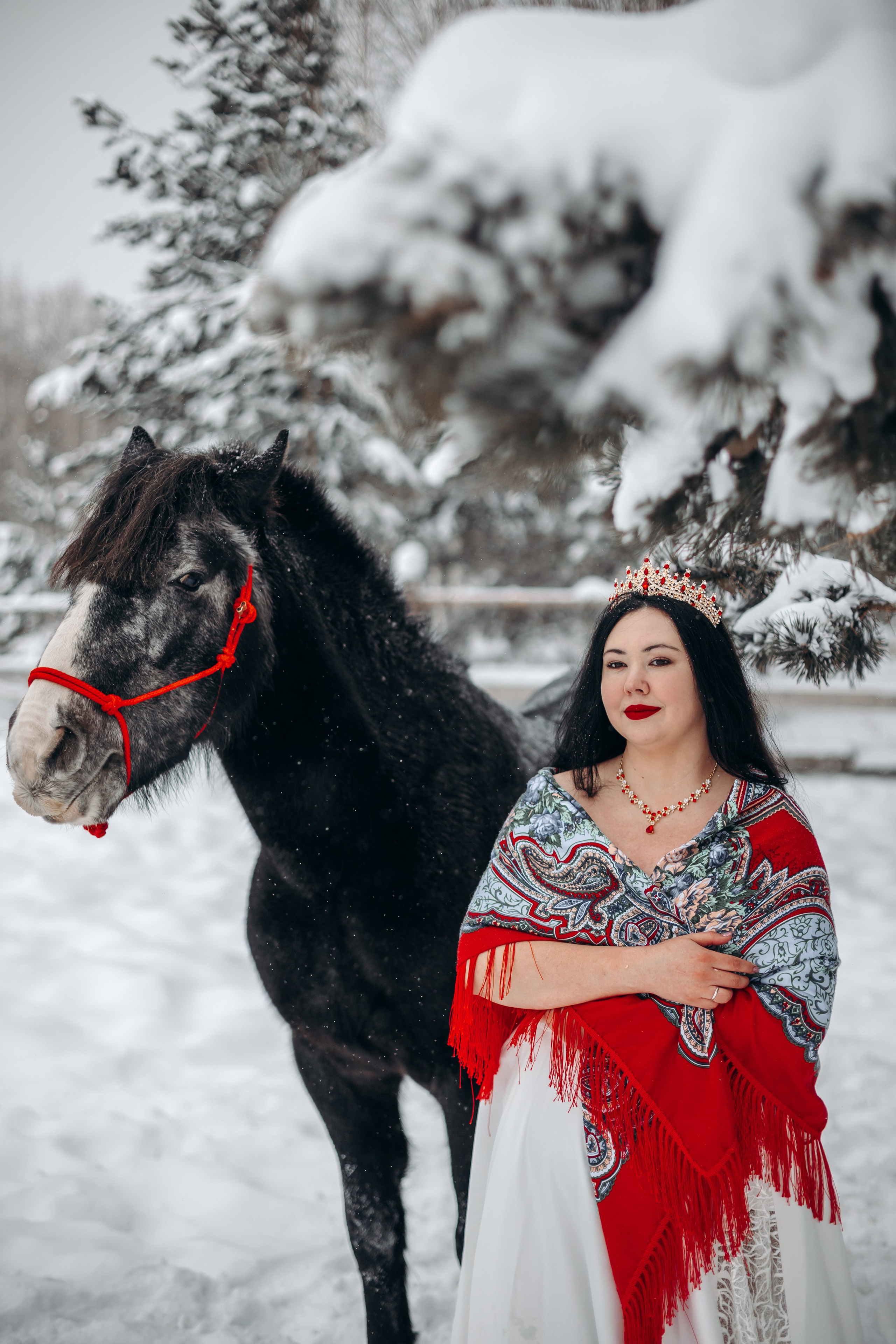 Яблоки на снегу. Анна Молчанова конный фотограф в Тюмени | фотосессии с лошадьми Тюмень