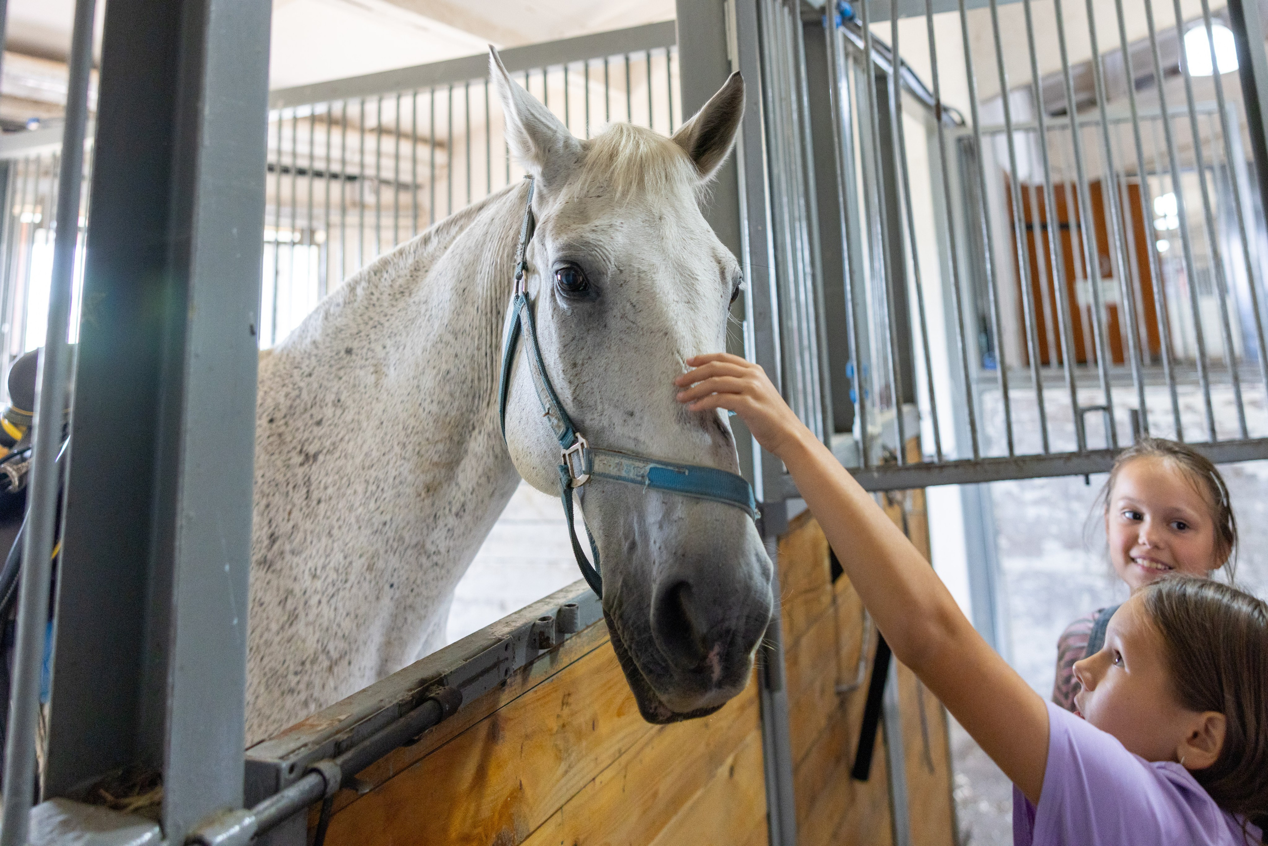 Поездка на поле Кулеково. Фотограф в Туле Крупский АнДРей. Фотостудия «КАДР71» в Туле