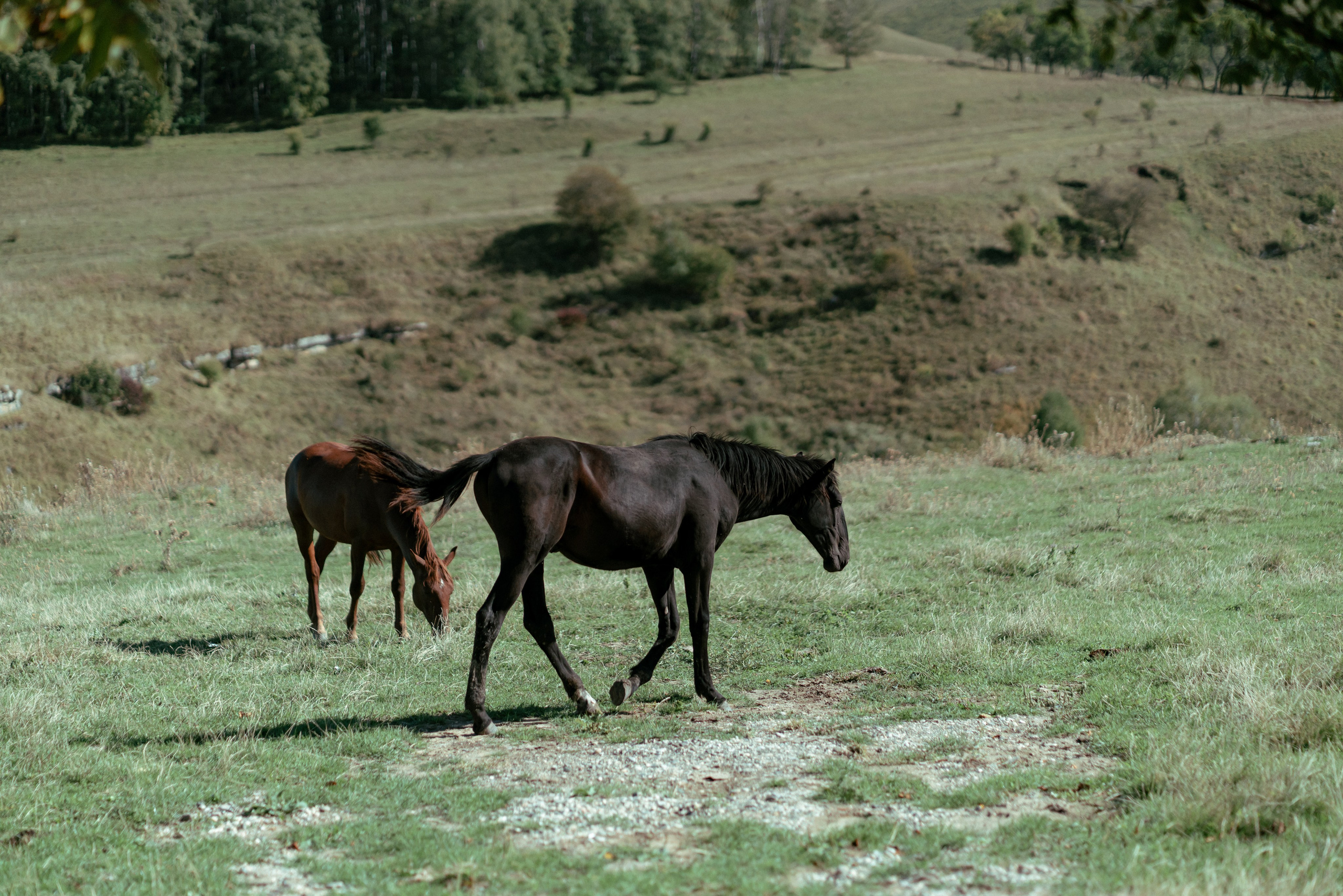 Эльбрус. Фотограф Александра Волкова | Волгоград