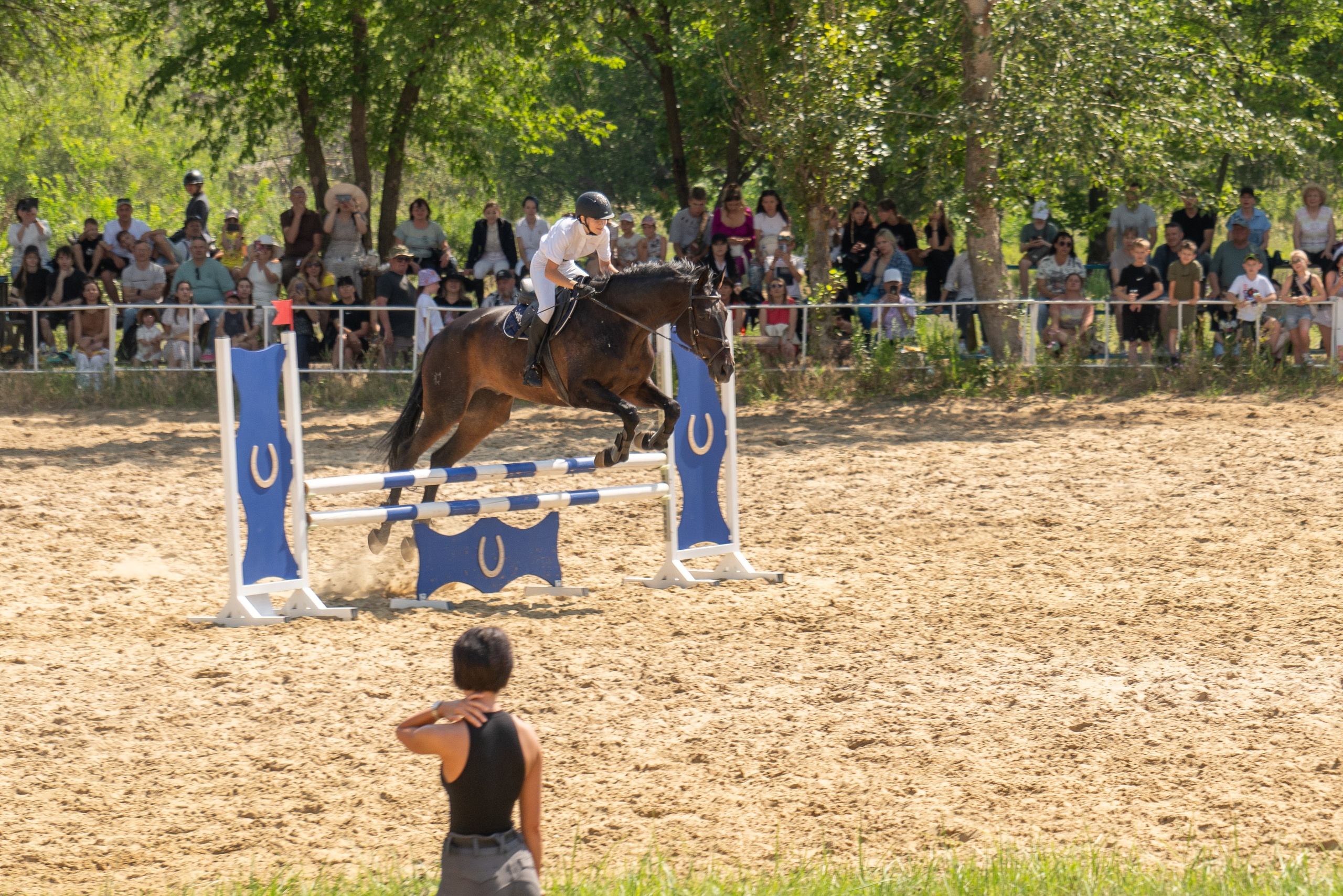 Соревнования по конкуру, Луганск. Фотограф в РФ и ЛНР Юлия Федосеева