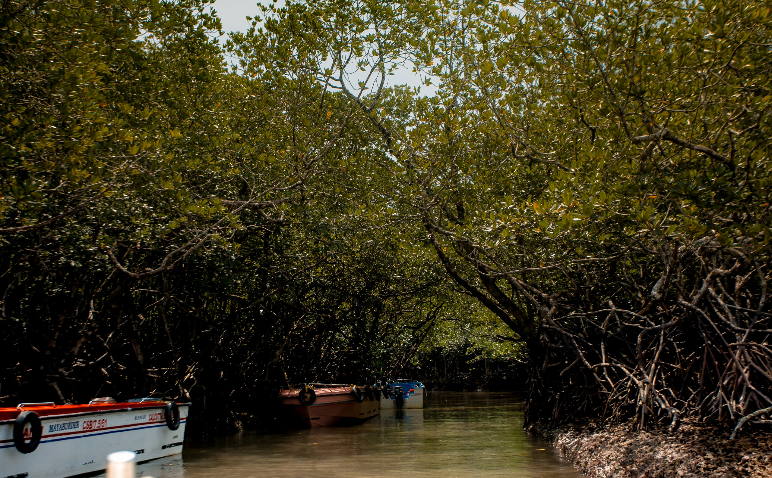 Andaman Islands, Part2. Art Photographer