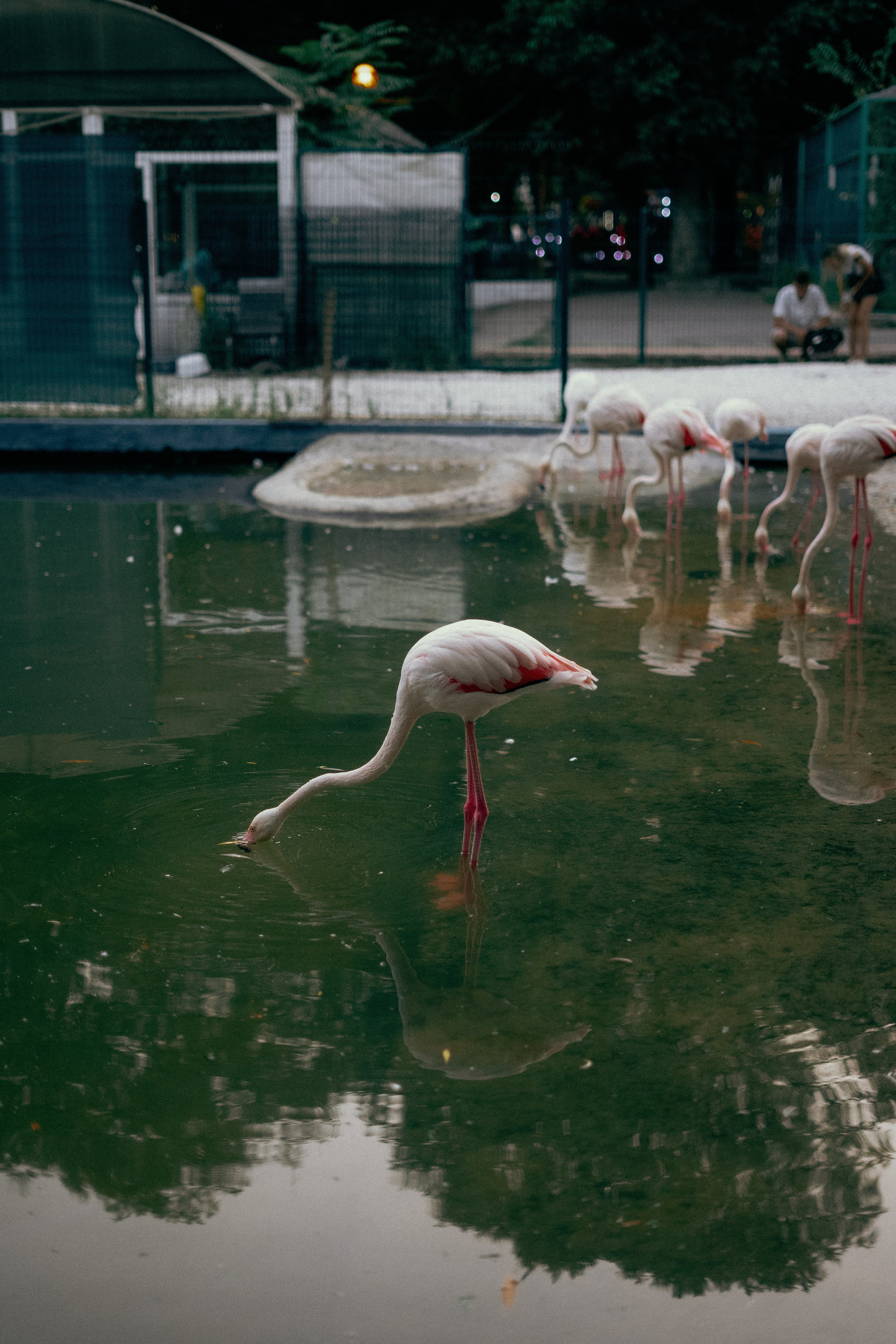 Даниана. Портретный и семейный фотограф в Мариуполе, РФ. Даша Жогло
