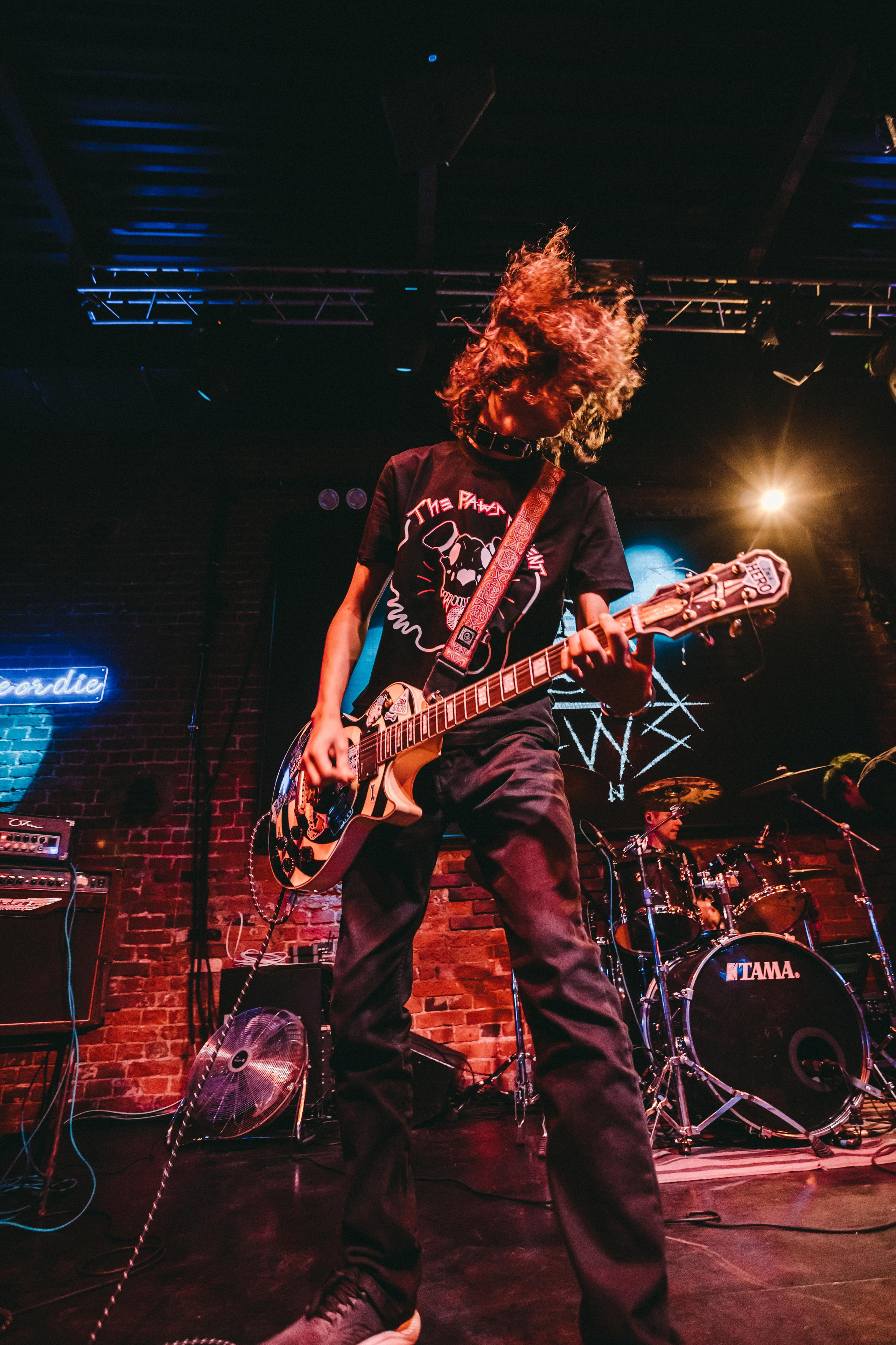 THE PAWS ELEMENT. Фотограф Сонкина Татьяна