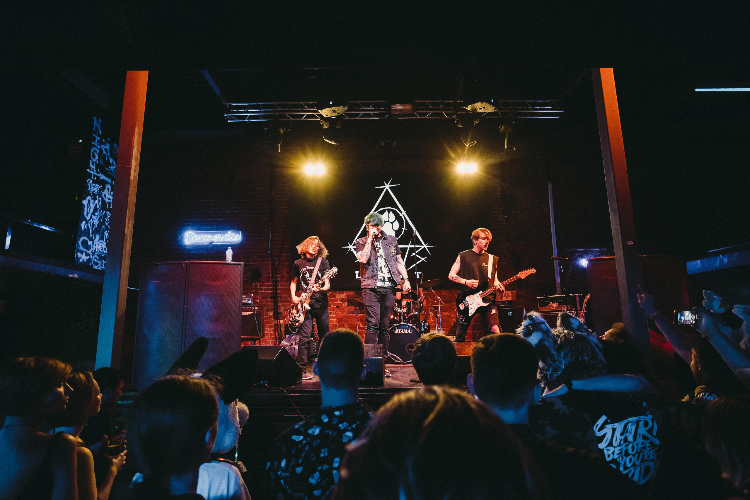 THE PAWS ELEMENT. Фотограф Сонкина Татьяна