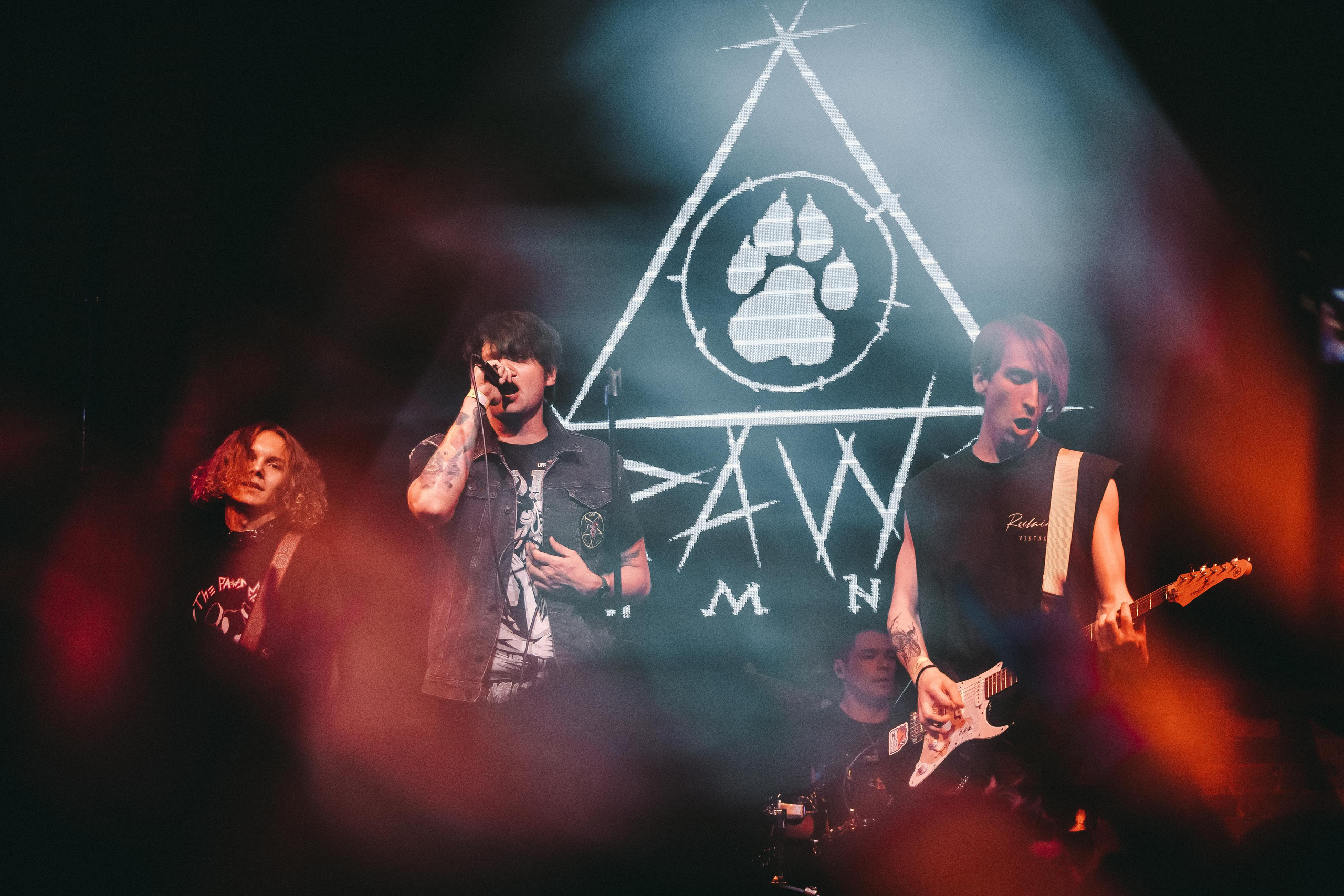 THE PAWS ELEMENT. Фотограф Сонкина Татьяна