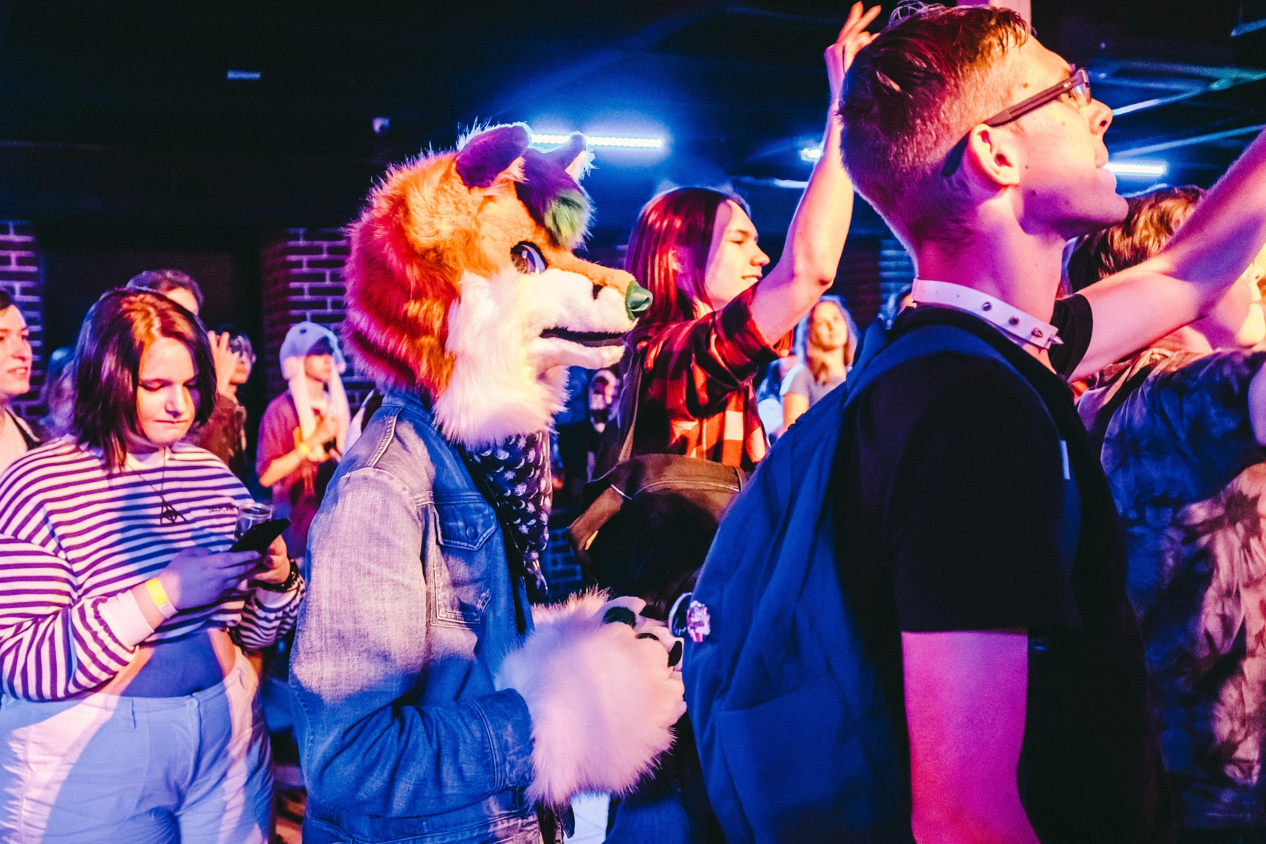 THE PAWS ELEMENT. Фотограф Сонкина Татьяна