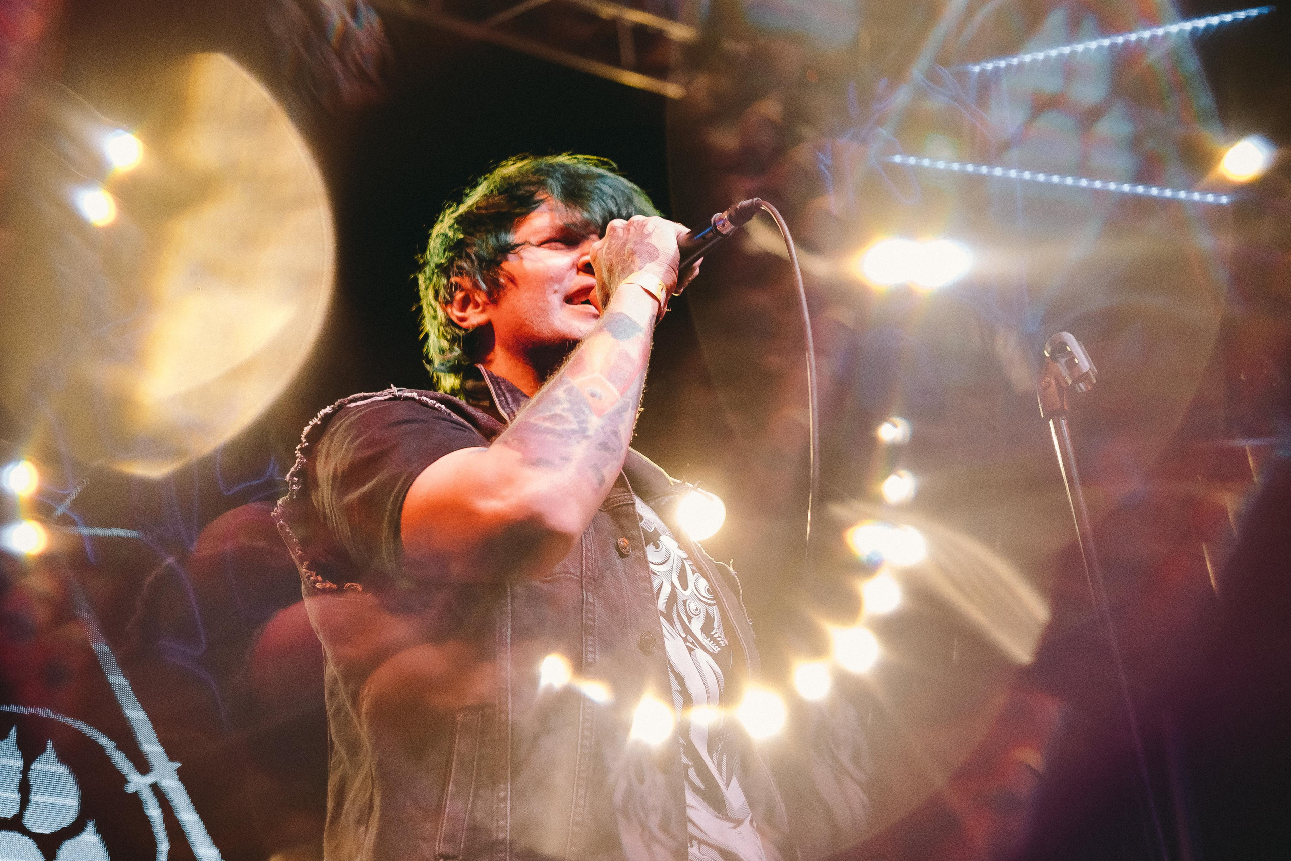 THE PAWS ELEMENT. Фотограф Сонкина Татьяна