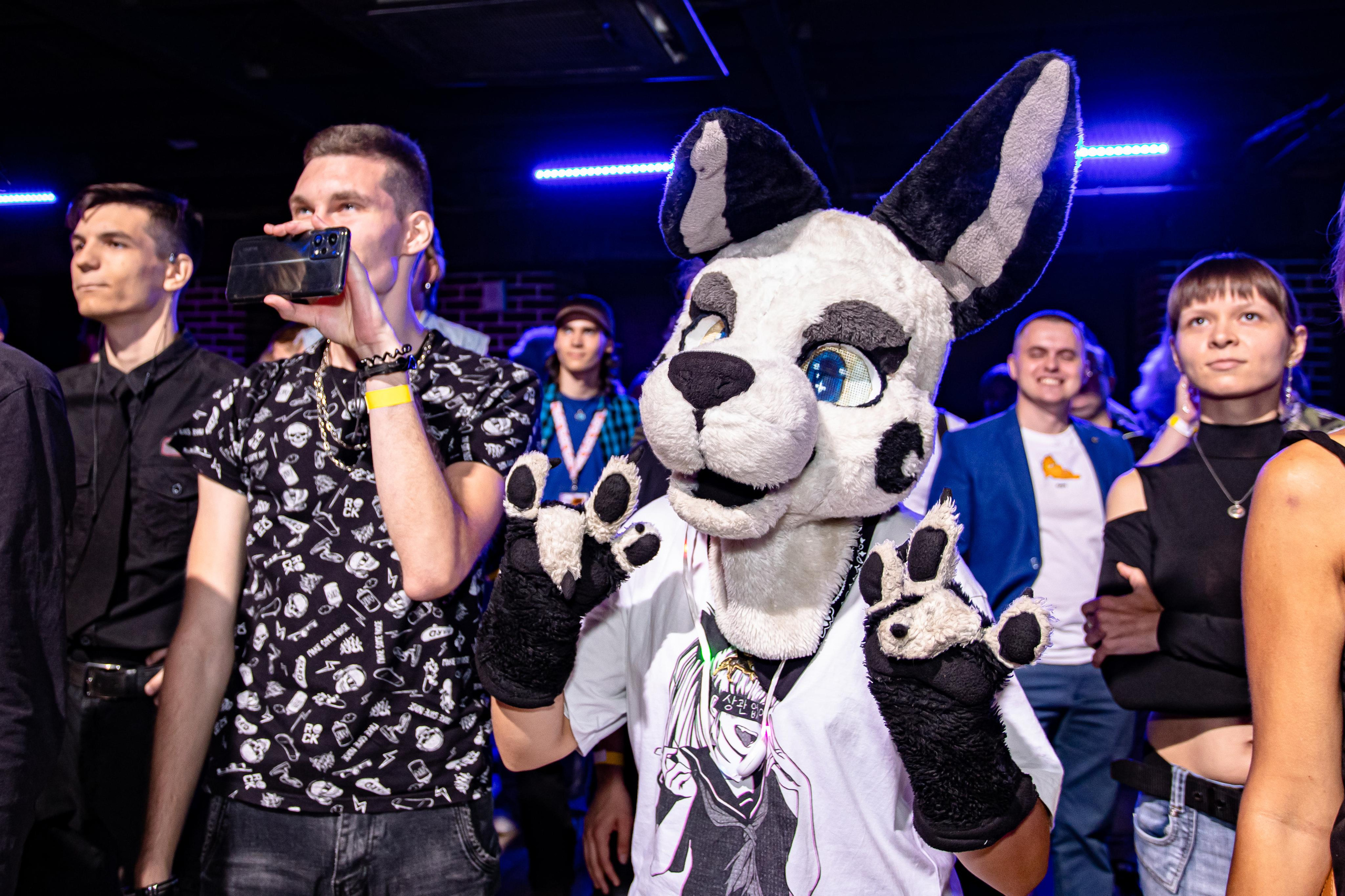 THE PAWS ELEMENT. Фотограф Сонкина Татьяна