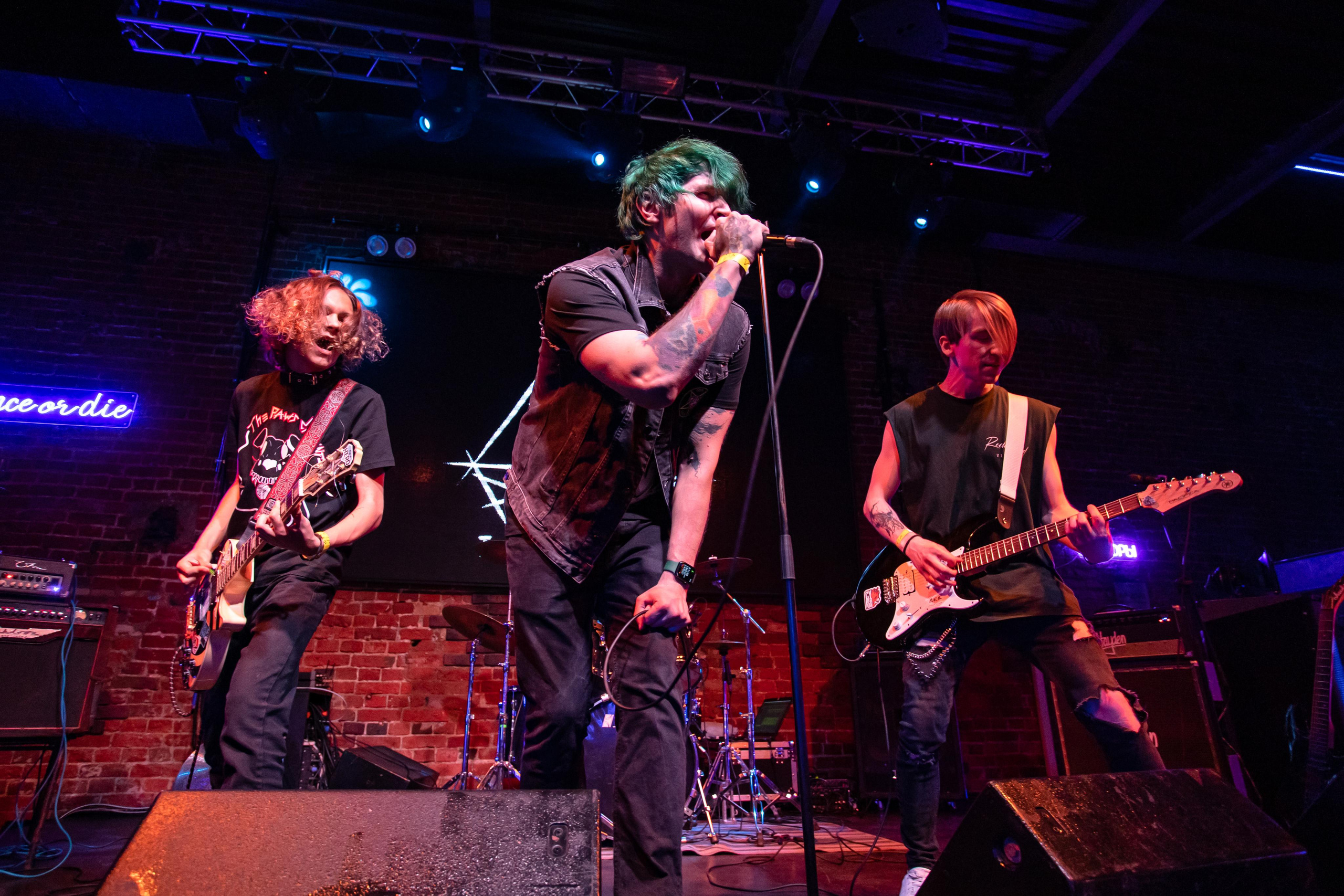 THE PAWS ELEMENT. Фотограф Сонкина Татьяна