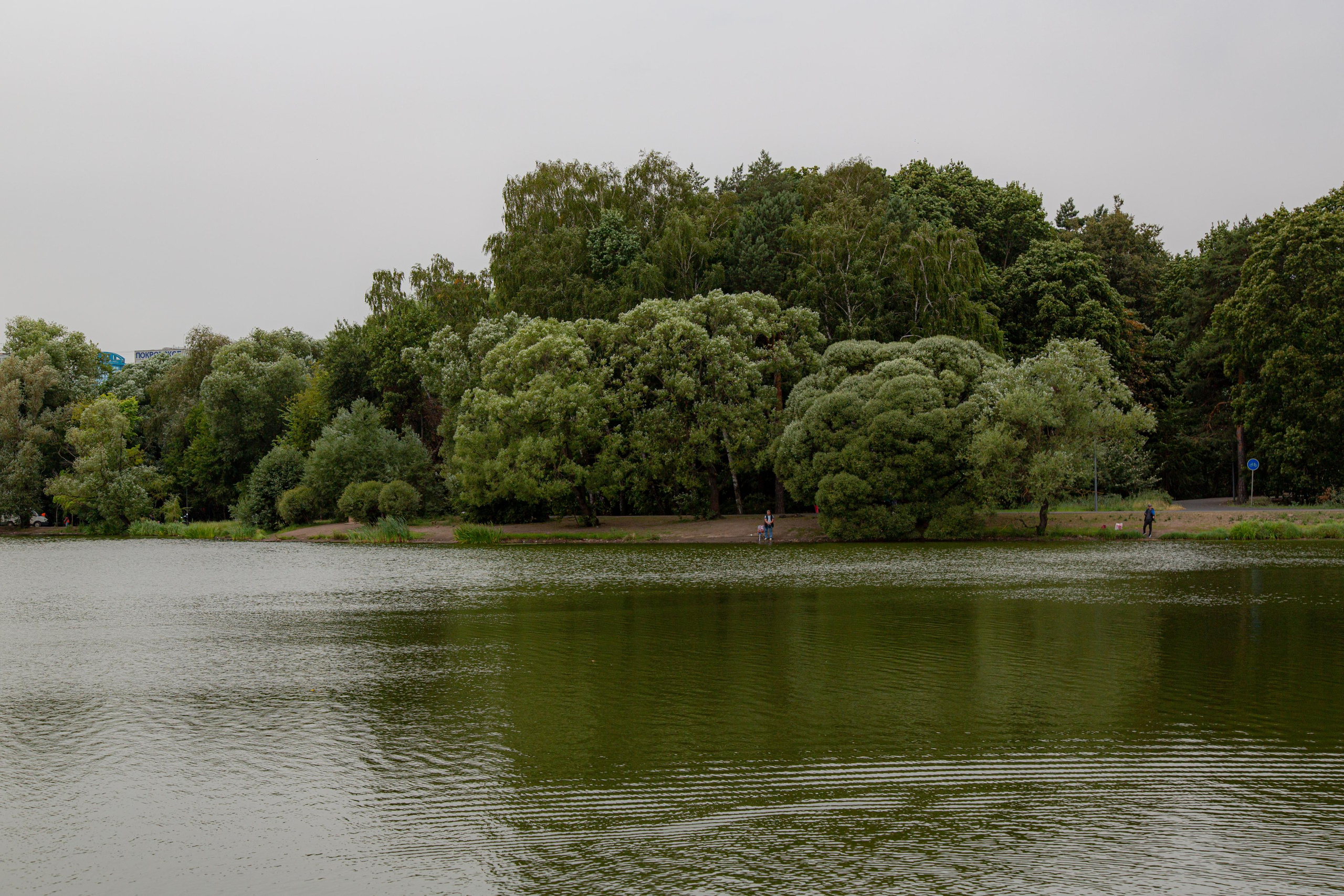 Парк Покровское-Стрешнево в Москве