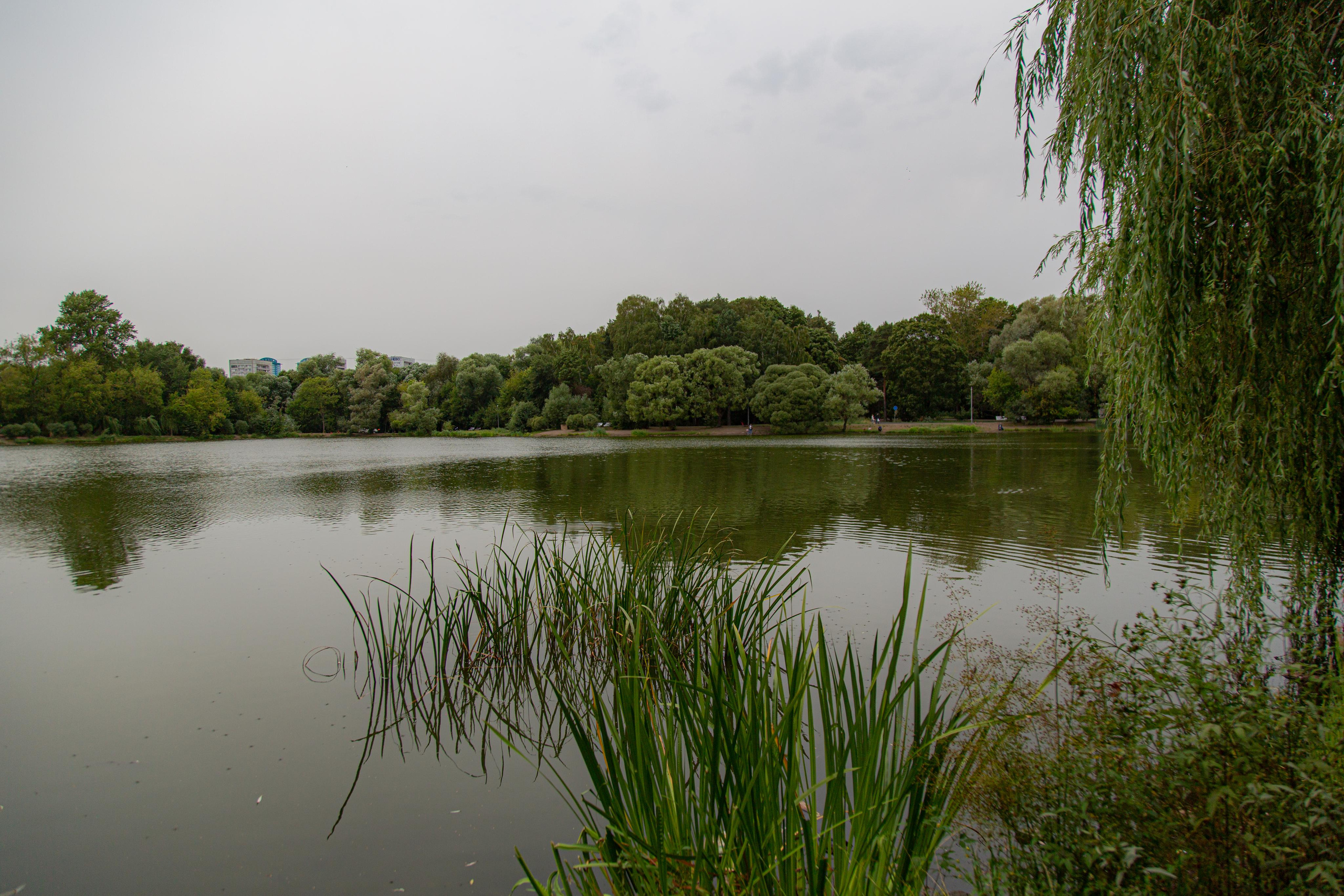 Парк Покровское-Стрешнево в Москве