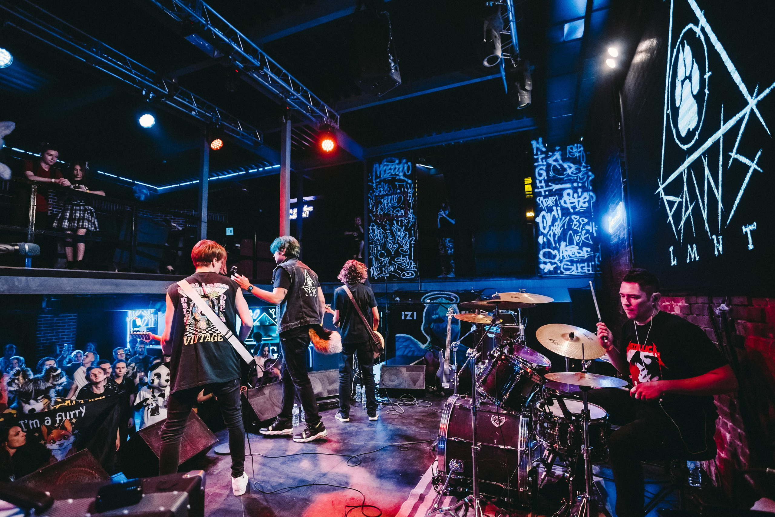 THE PAWS ELEMENT. Фотограф Сонкина Татьяна