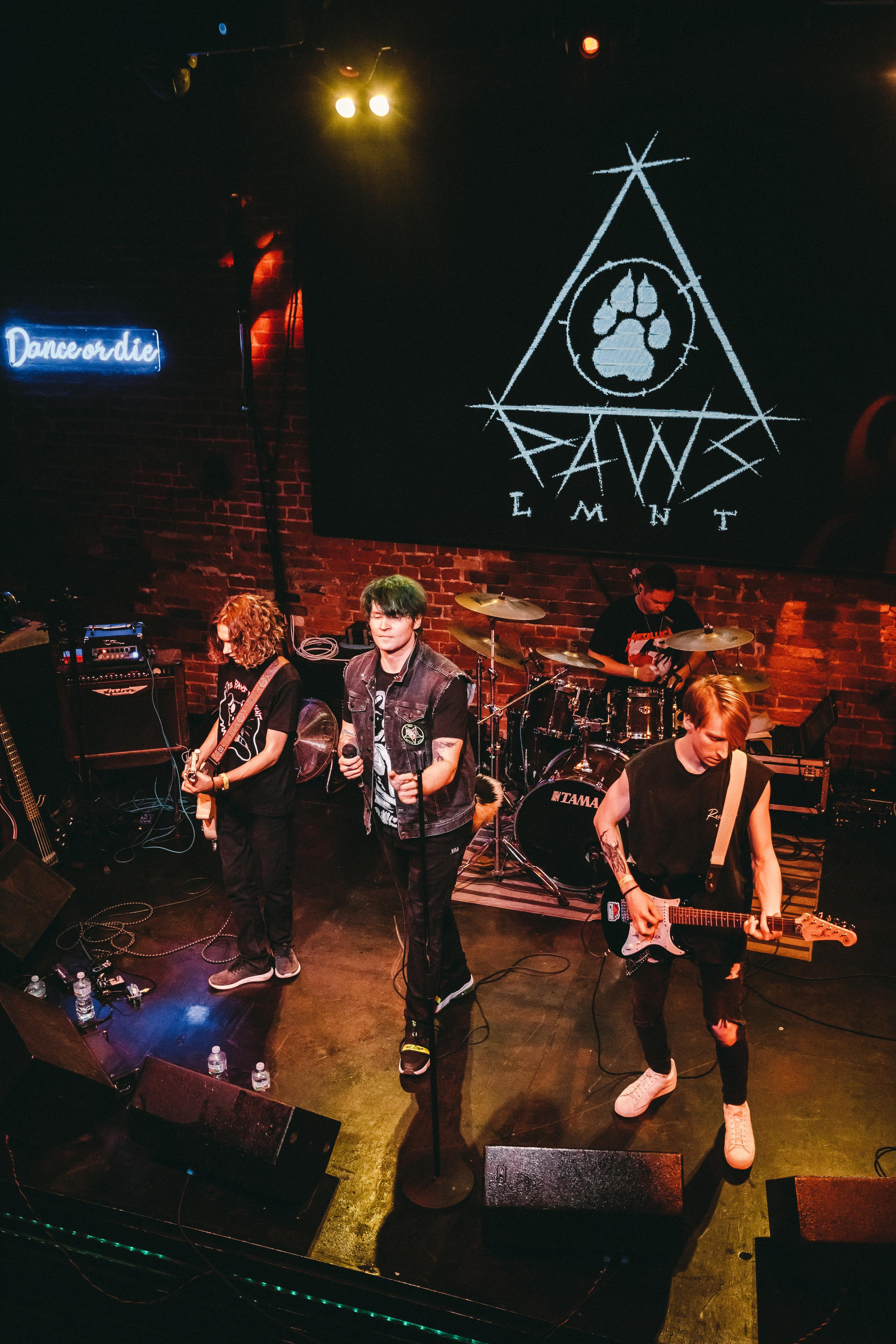 THE PAWS ELEMENT. Фотограф Сонкина Татьяна