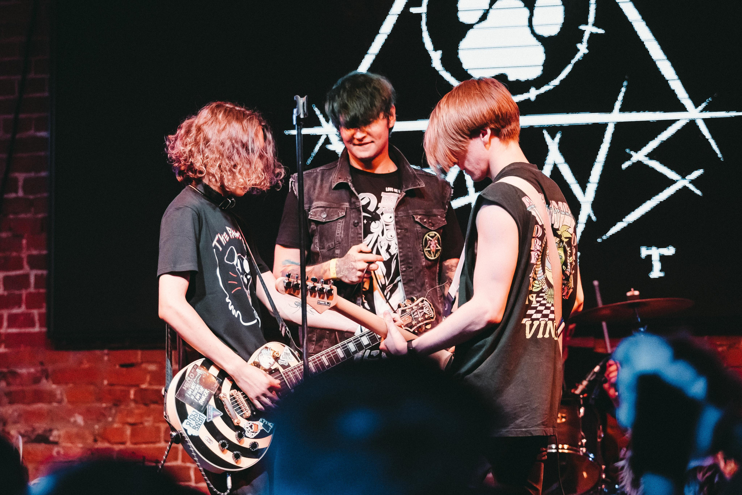 THE PAWS ELEMENT. Фотограф Сонкина Татьяна