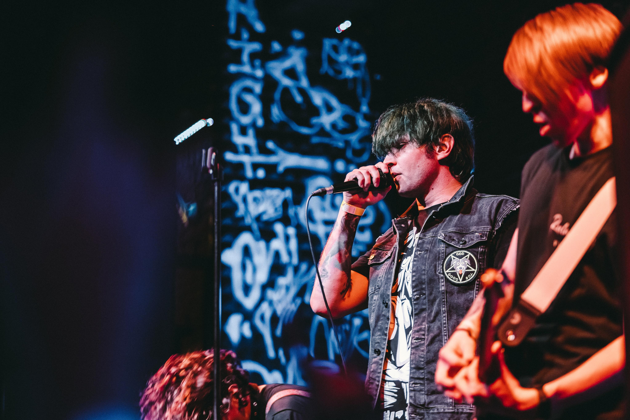 THE PAWS ELEMENT. Фотограф Сонкина Татьяна