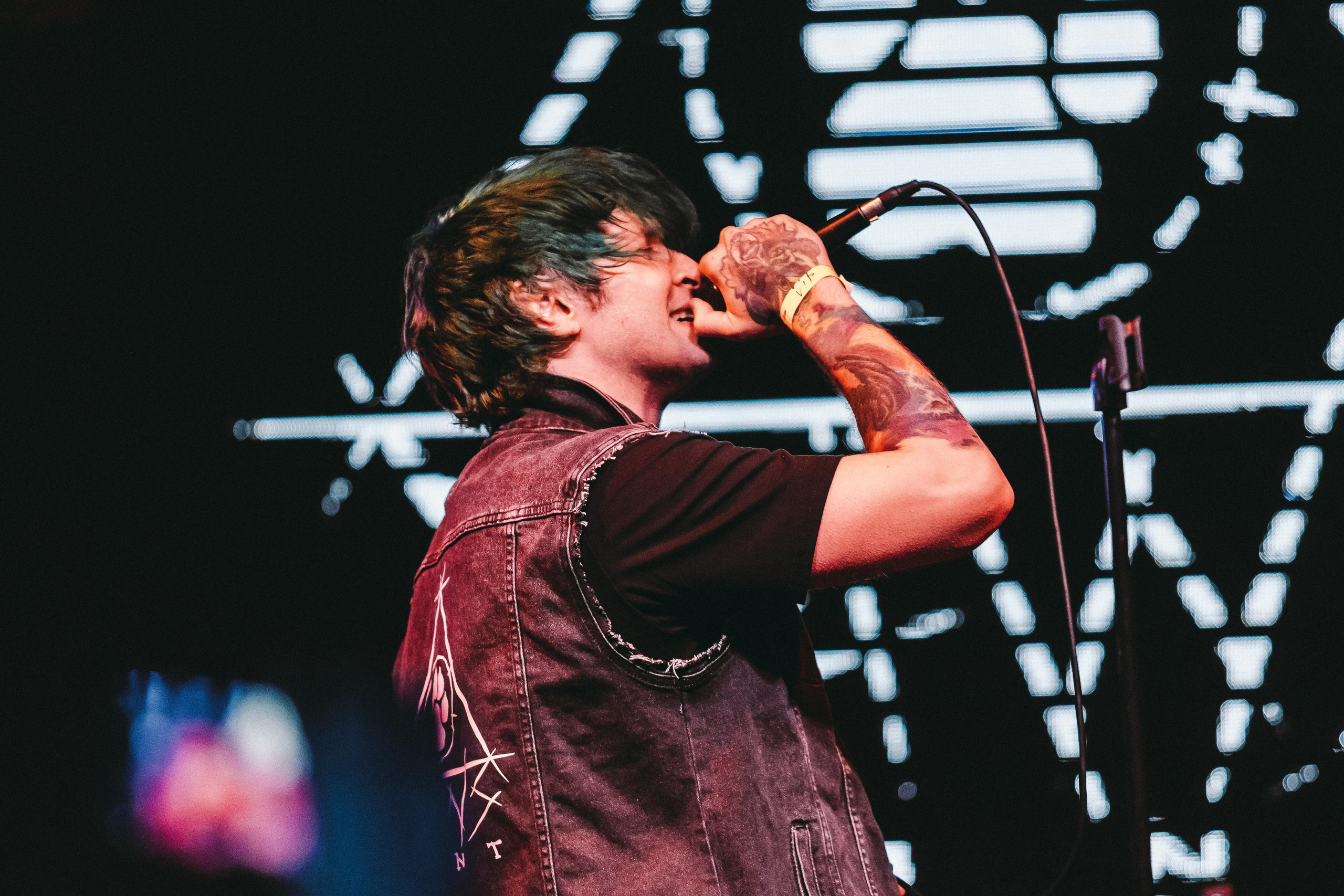 THE PAWS ELEMENT. Фотограф Сонкина Татьяна