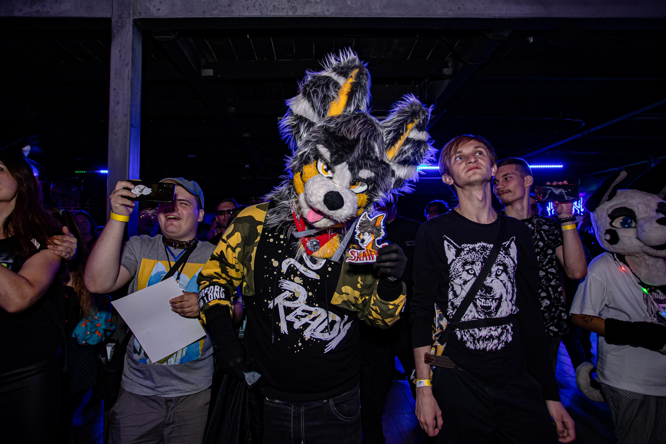 THE PAWS ELEMENT. Фотограф Сонкина Татьяна