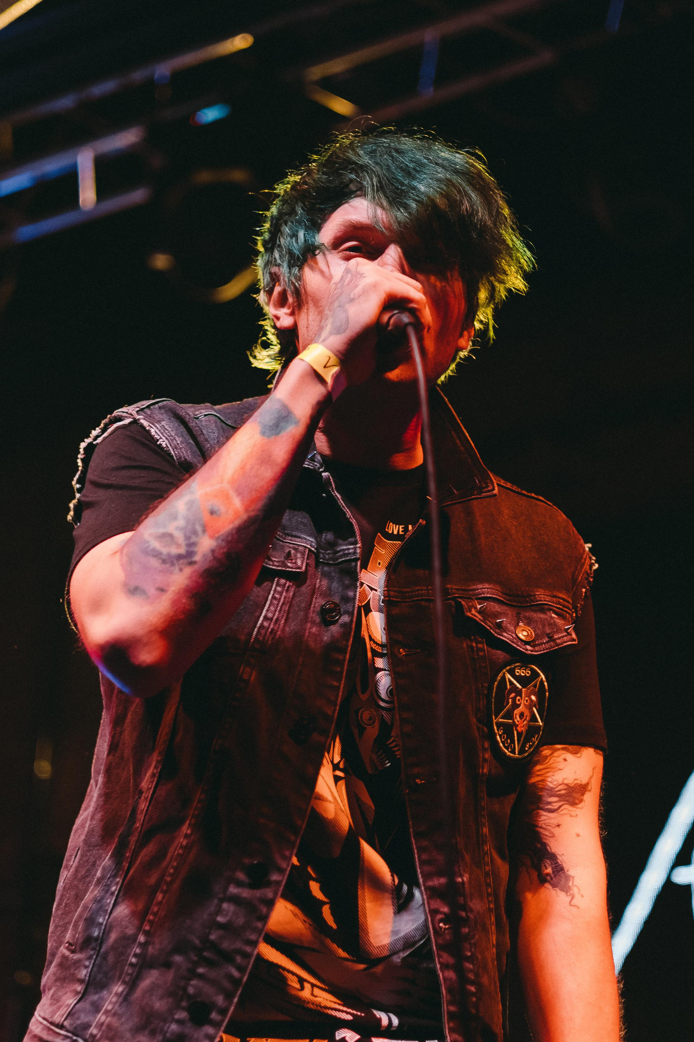 THE PAWS ELEMENT. Фотограф Сонкина Татьяна