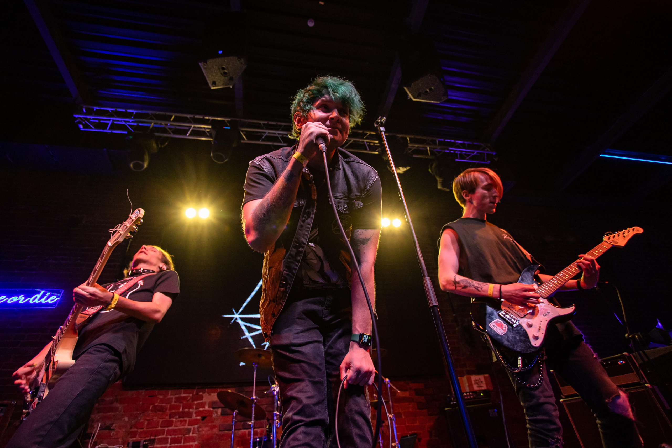 THE PAWS ELEMENT. Фотограф Сонкина Татьяна