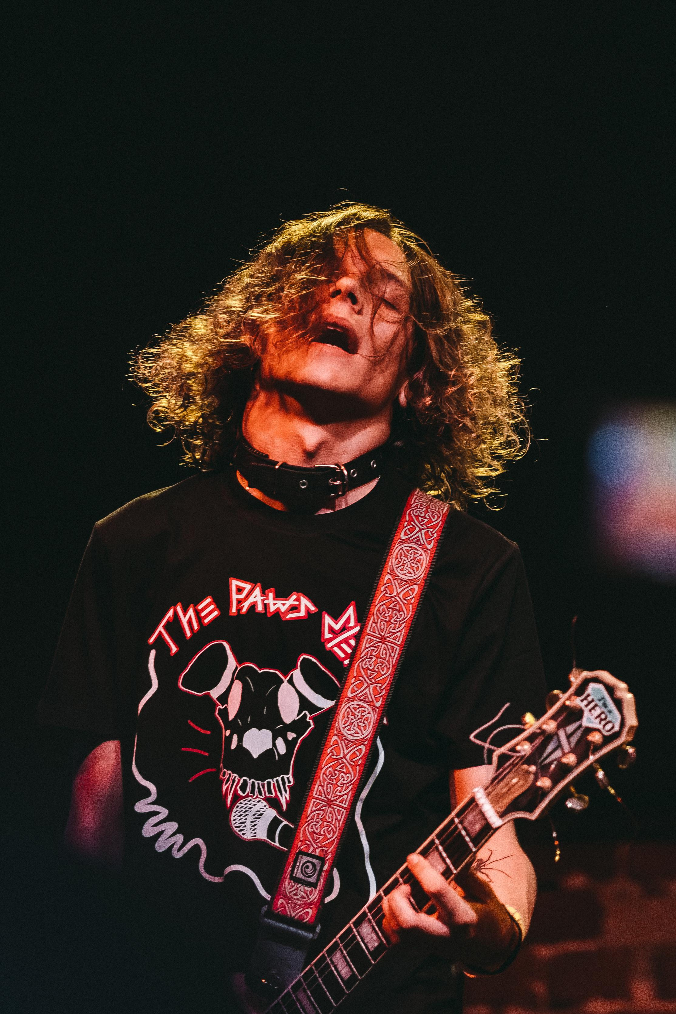 THE PAWS ELEMENT. Фотограф Сонкина Татьяна