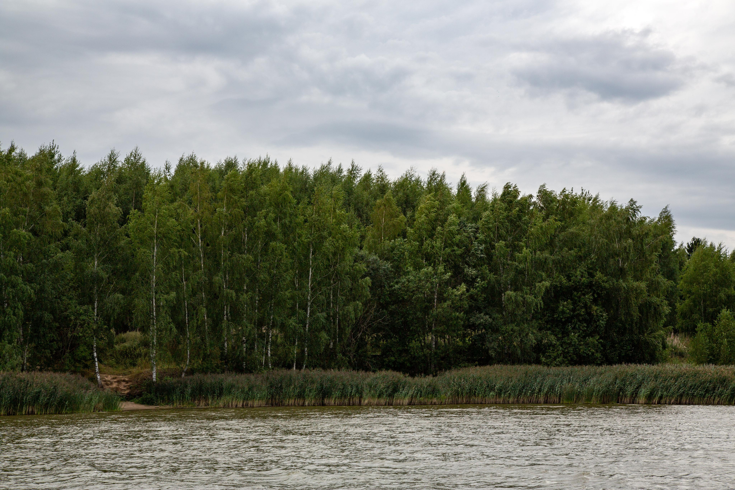 Солнечногорск. Photographer Sonkina Tatiana (Tanya Ash)