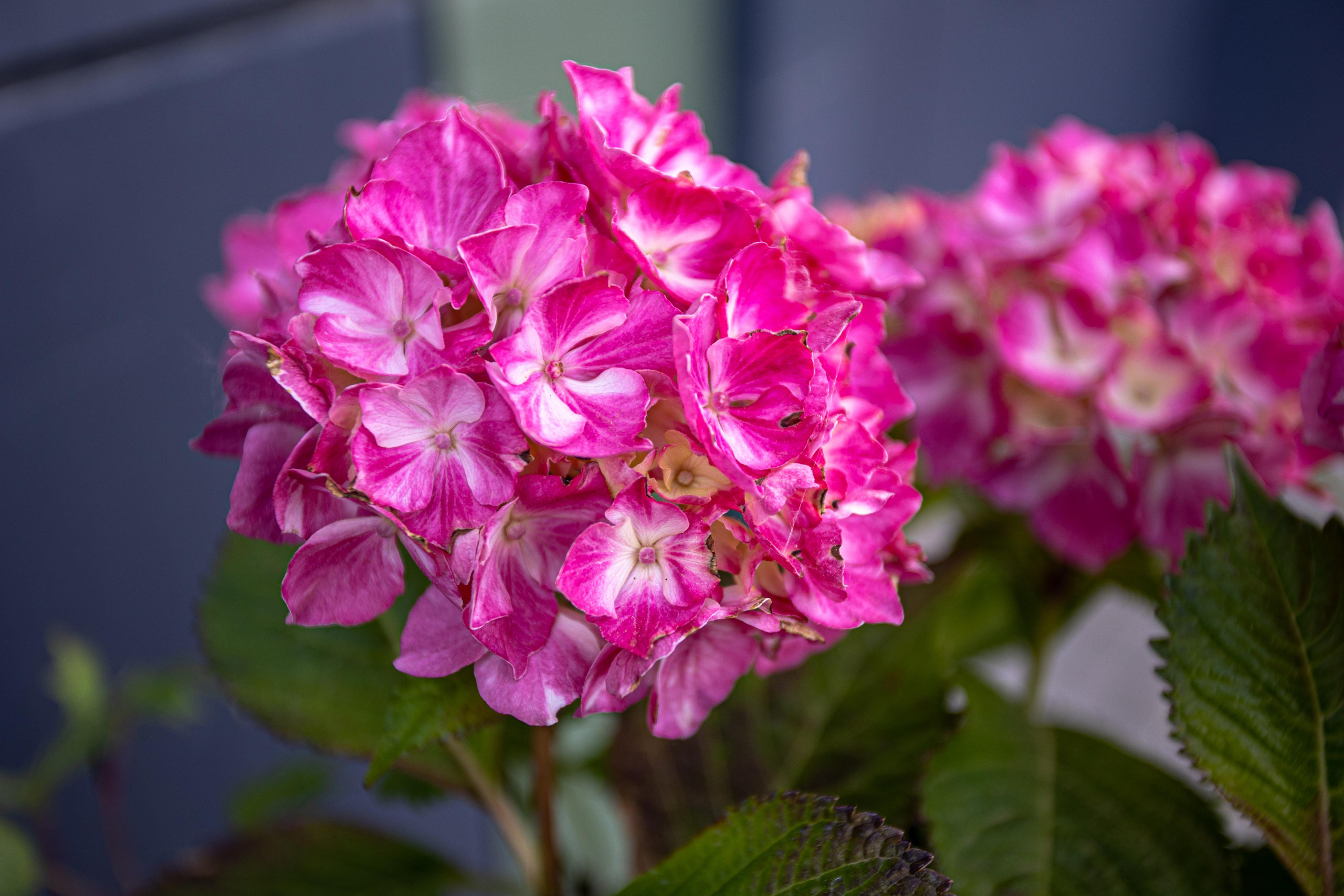 Коллекция пейзажных фотографий. Photographer Sonkina Tatiana (Tanya Ash)