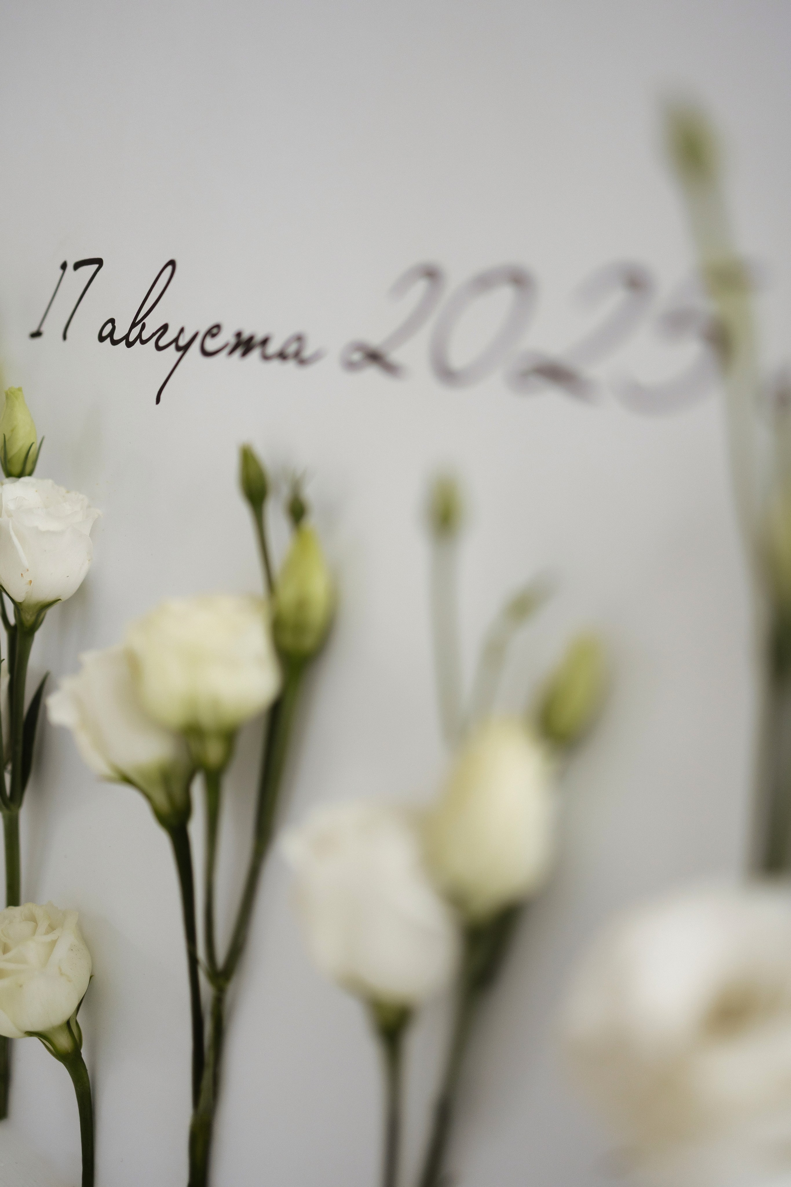 A&I. Свадебный фотограф Лиза Макатович Беларусь Минск