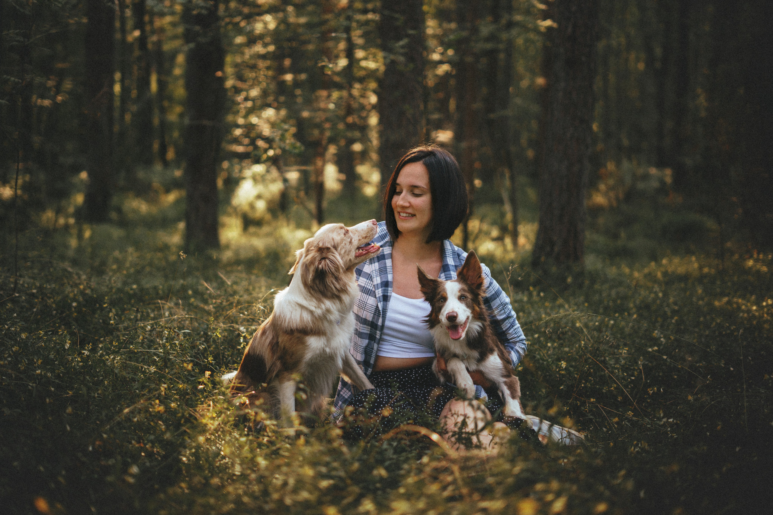 Рита, Маша и много собак. Фотограф анималист Осипчикова Мария