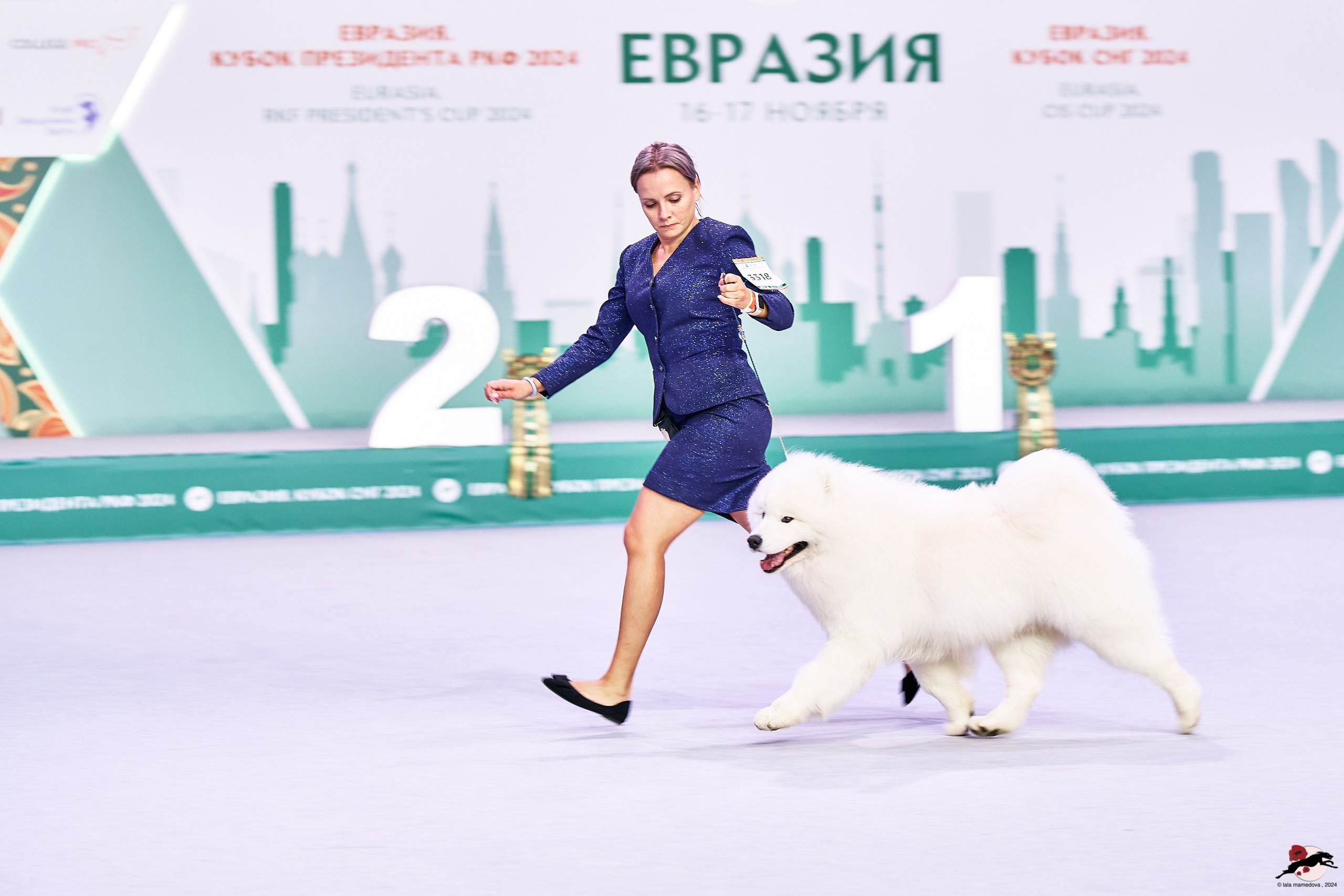 16.11.2024 «ЕВРАЗИЯ. КУБОК ПРЕЗИДЕНТА РКФ 2024»