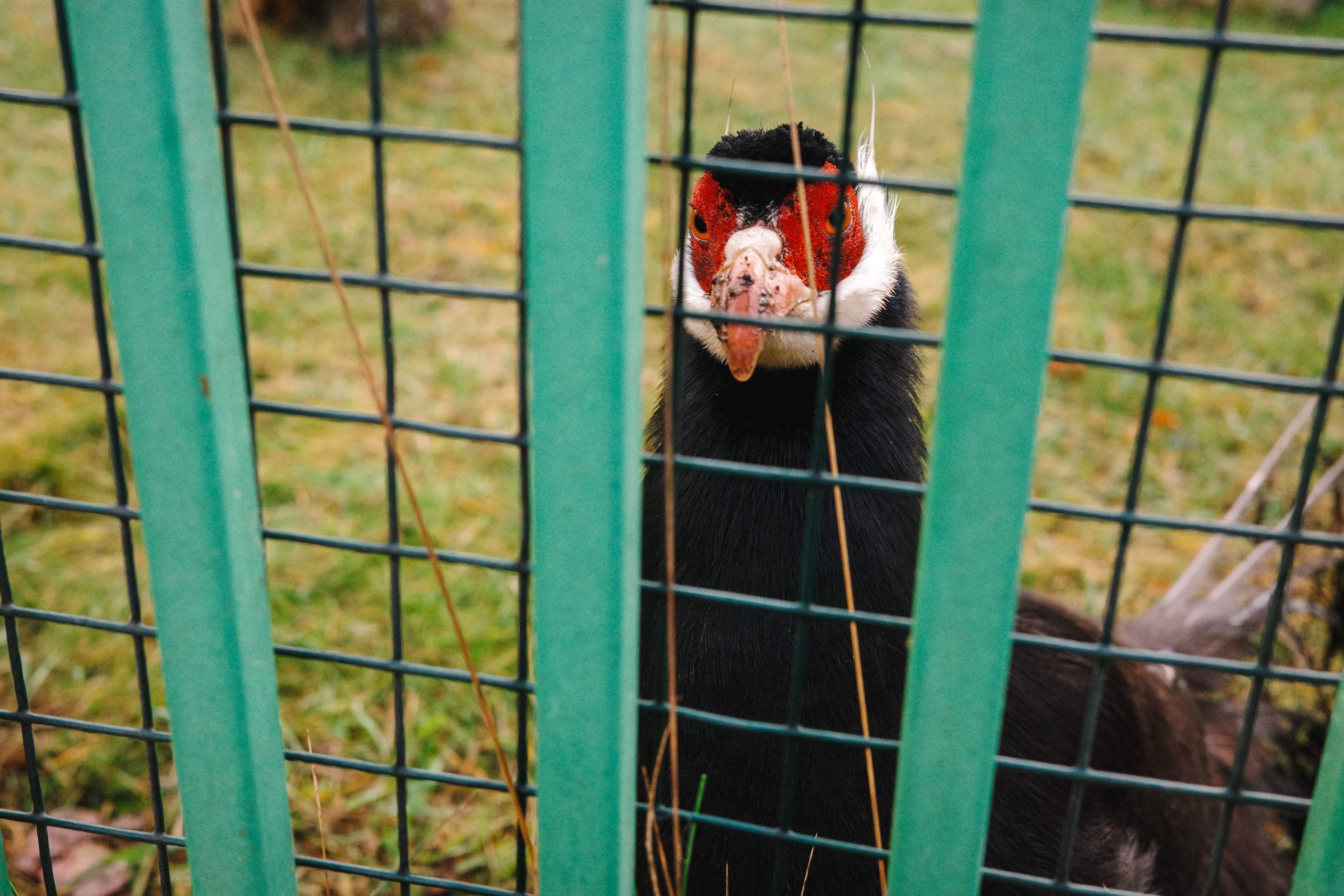 2024.11. Фотограф Алексей Алексеев