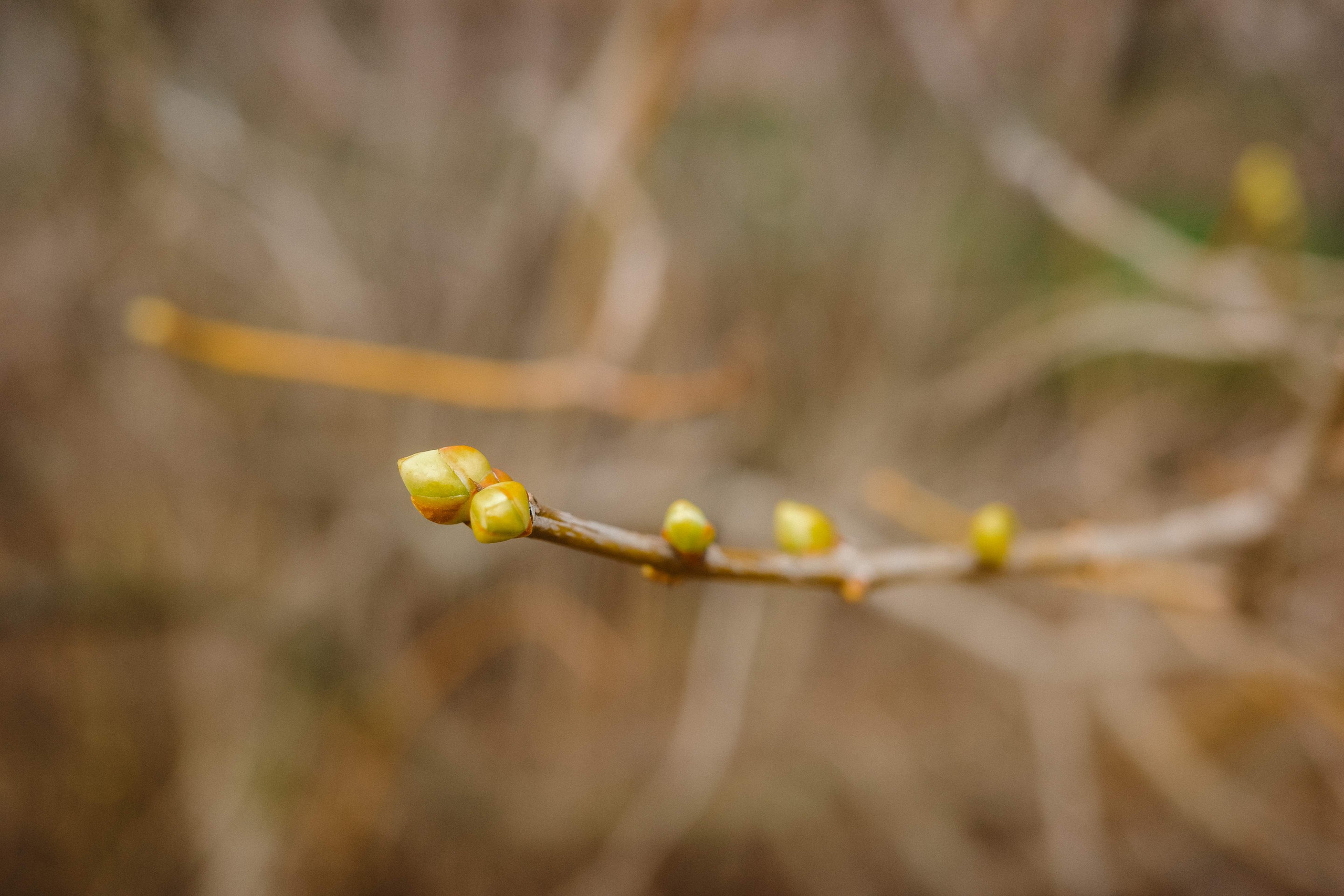 2024.03. Фотограф Алексей Алексеев