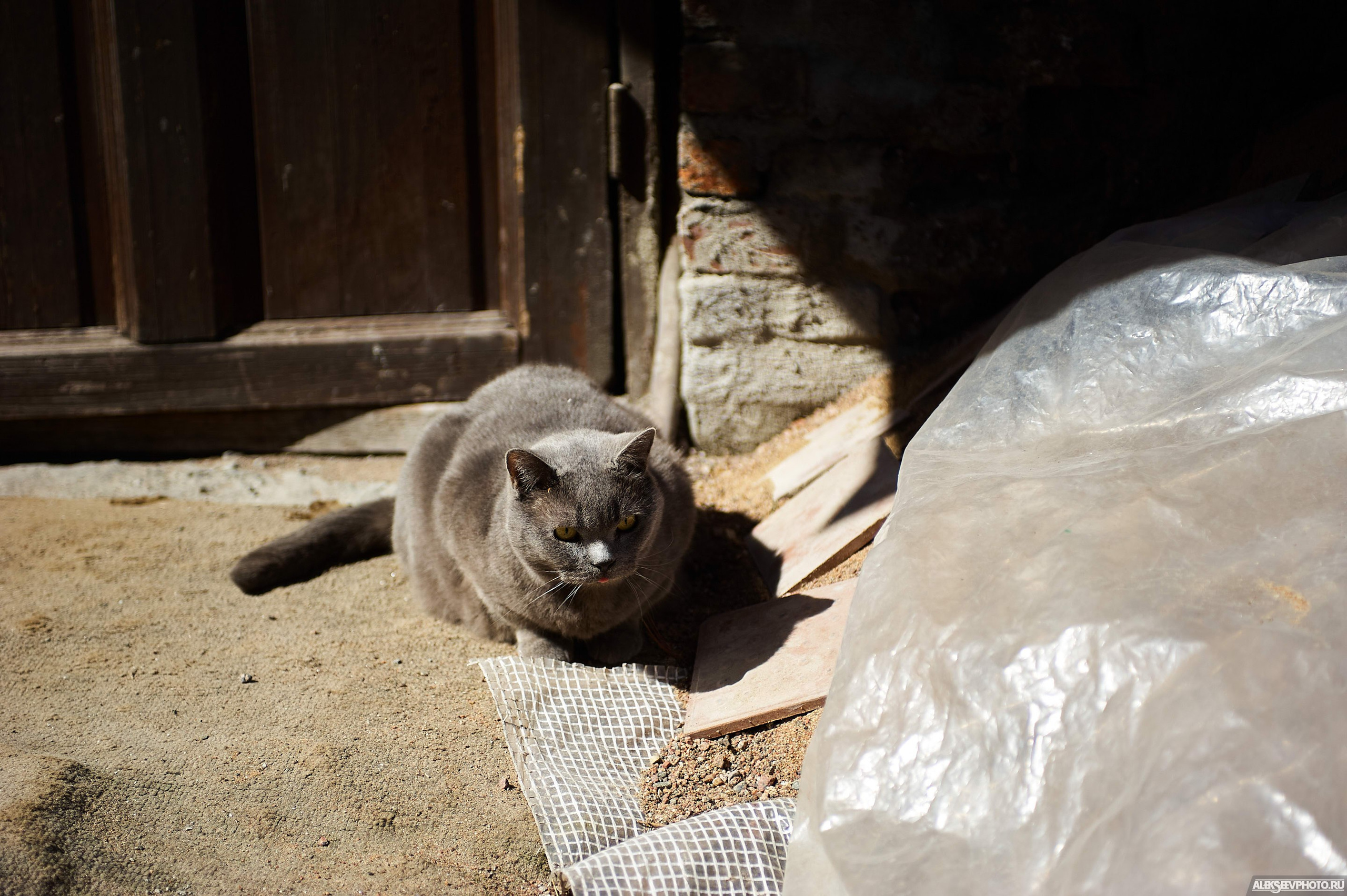 2021.05. Фотограф Алексей Алексеев