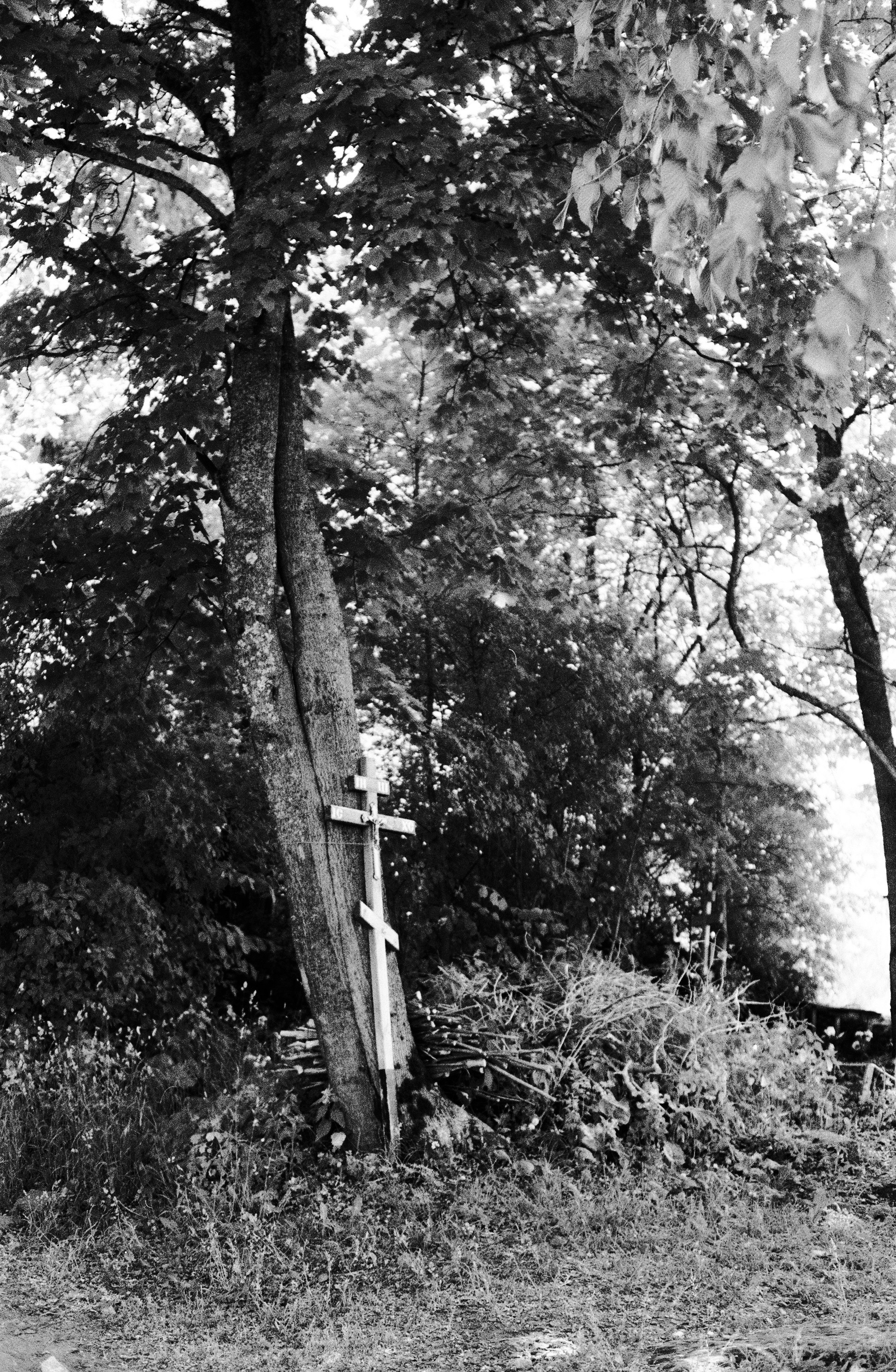 Photo Portfolio. Morskyakanulavmorya