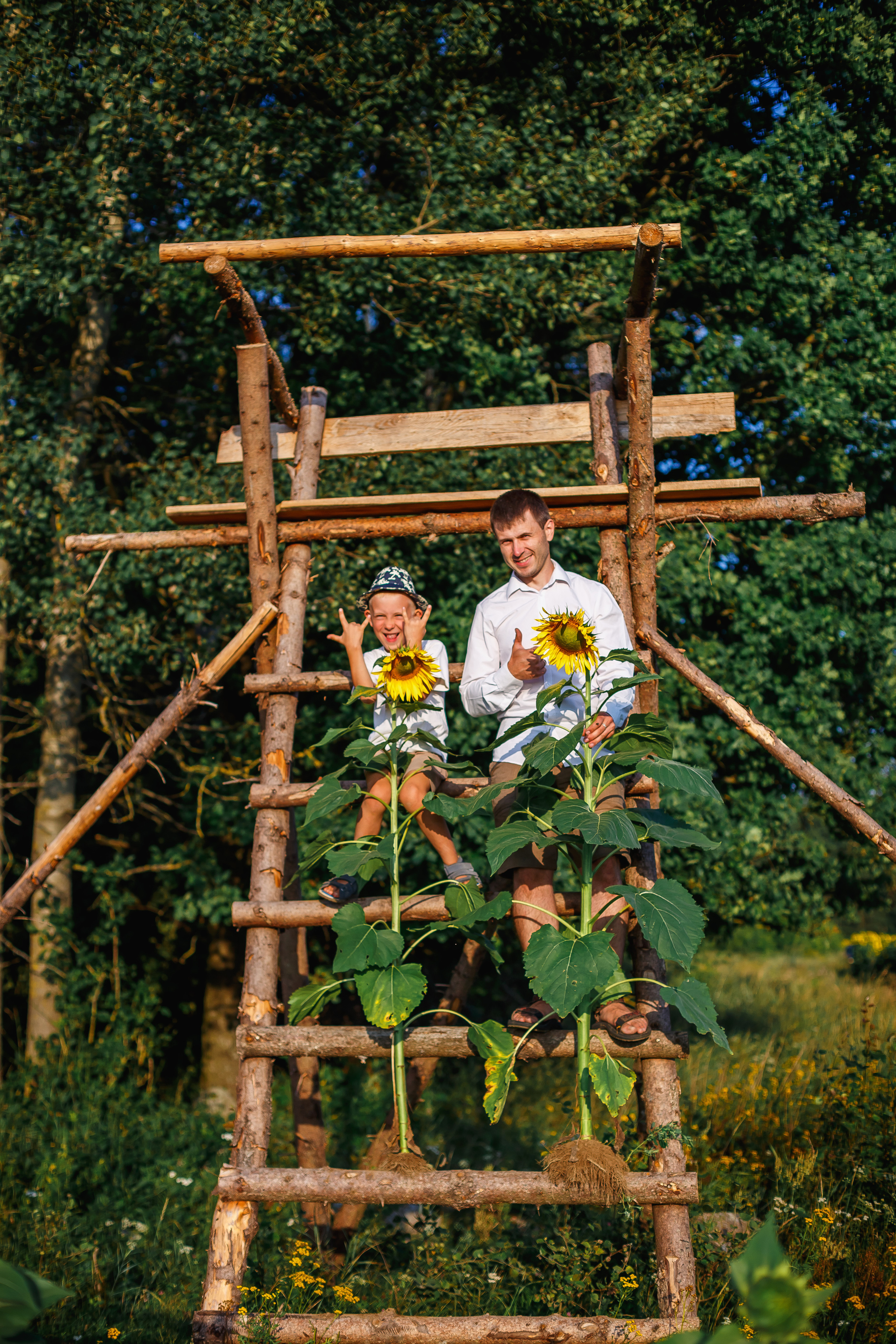 Подсолнухи