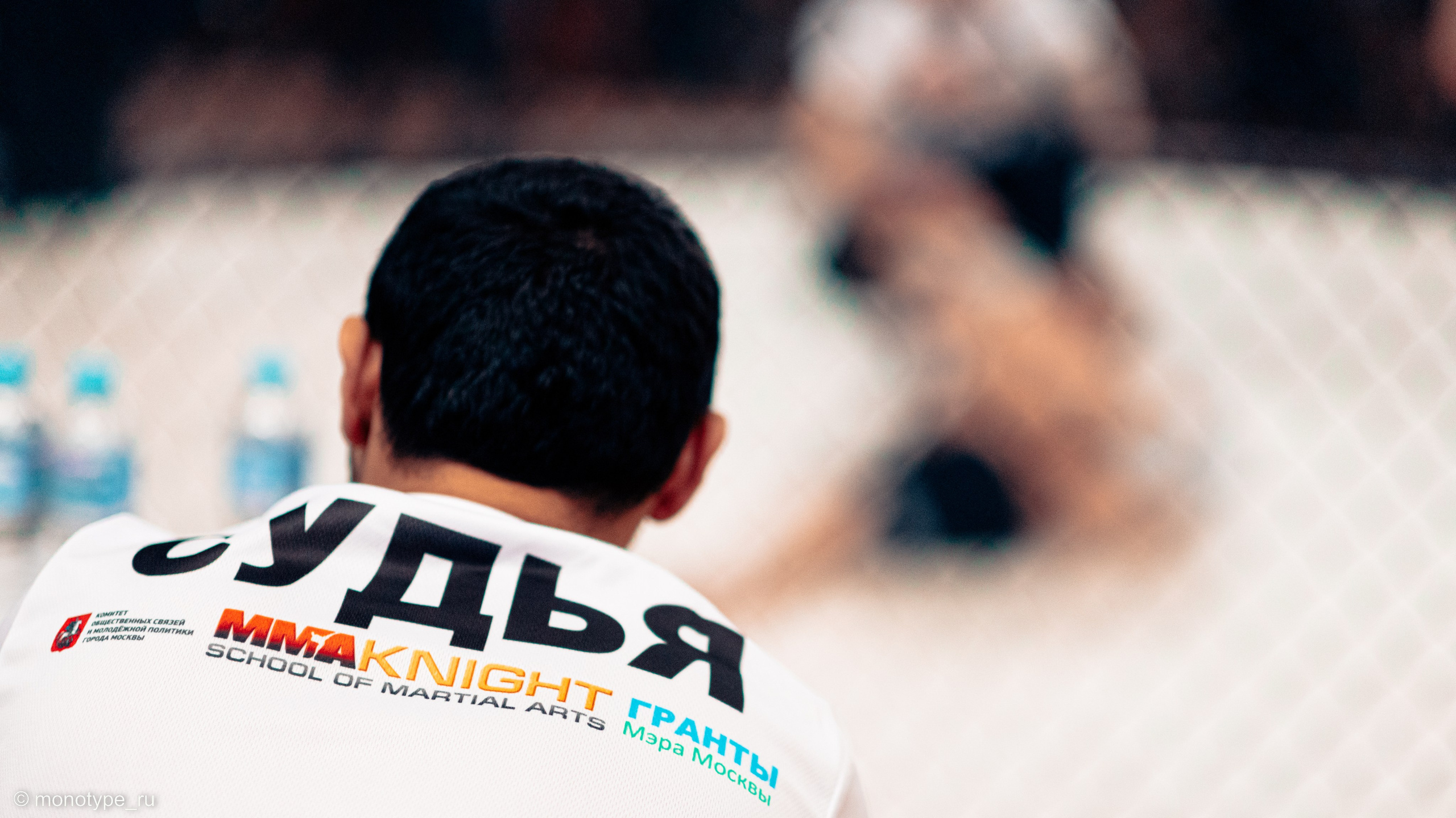 MMA. Бойцовский турнир