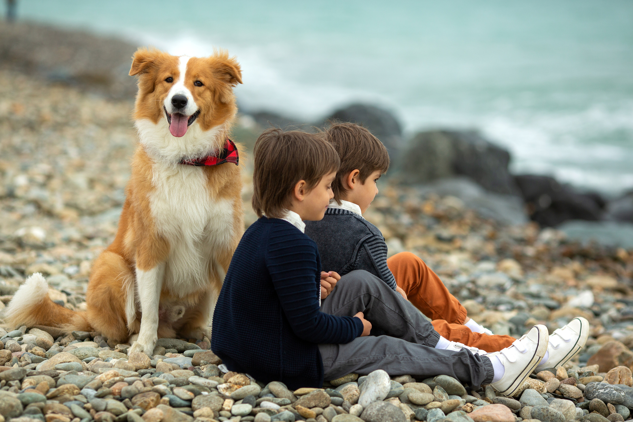 Детская Съемка. Семейный и детский фотограф Ольга Невская